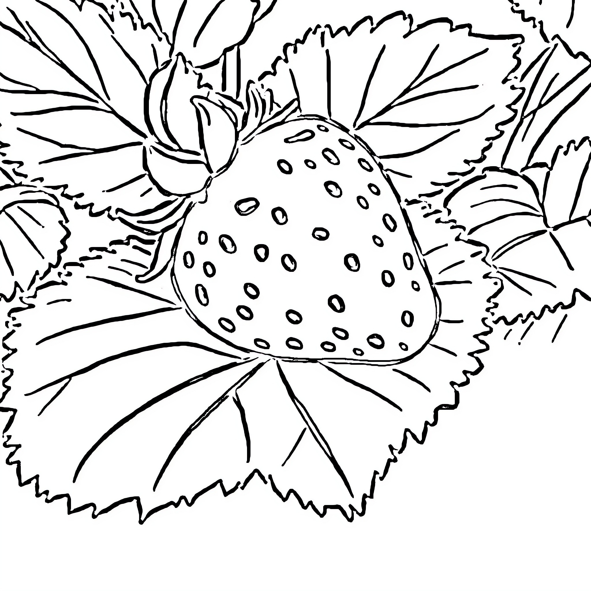 Strawberry amidst lush foliage Coloring Page (free black-and-white line drawing printable PDF for all, from beginners to advanced learners, including children, teens, adults, and seniors)