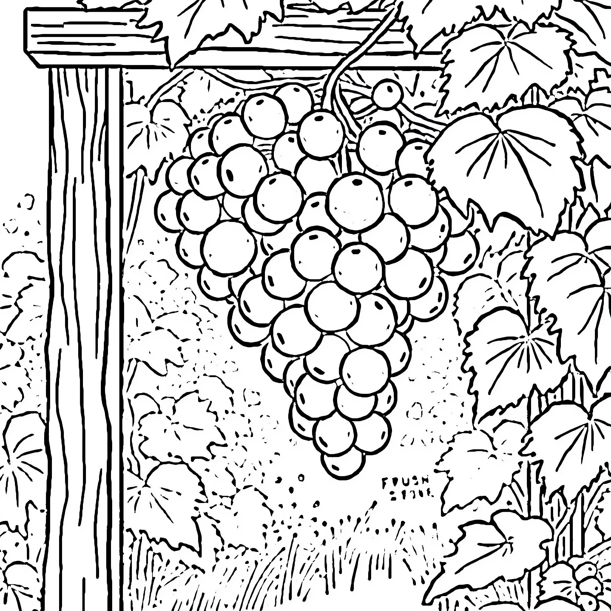 Grape Vine in the Garden Coloring Page (free black-and-white line drawing printable PDF for all, from beginners to advanced learners, including children, teens, adults, and seniors)