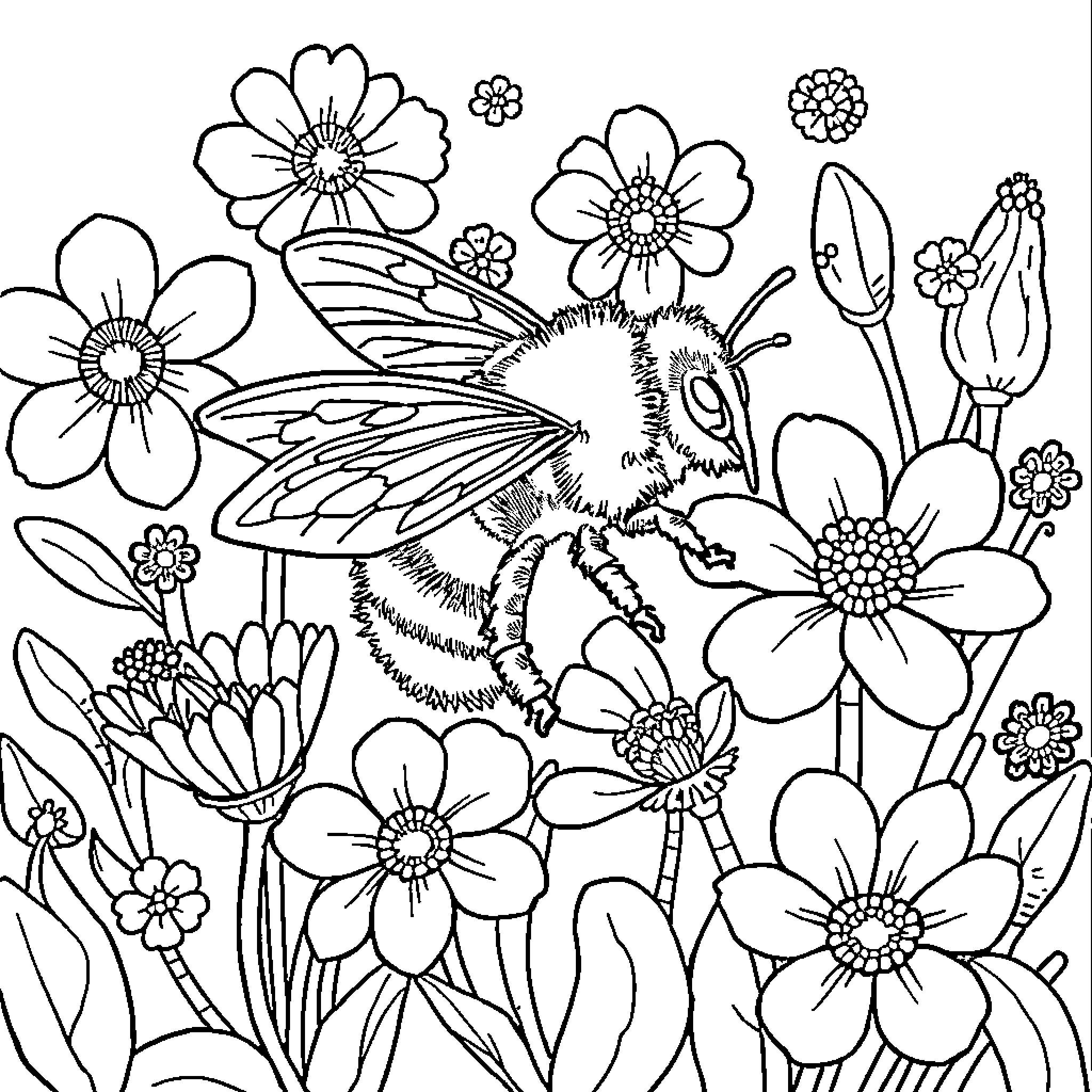 Bee surrounded by vibrant flowers Coloring Page (free black-and-white line drawing printable PDF for all, from beginners to advanced learners, including children, teens, adults, and seniors)