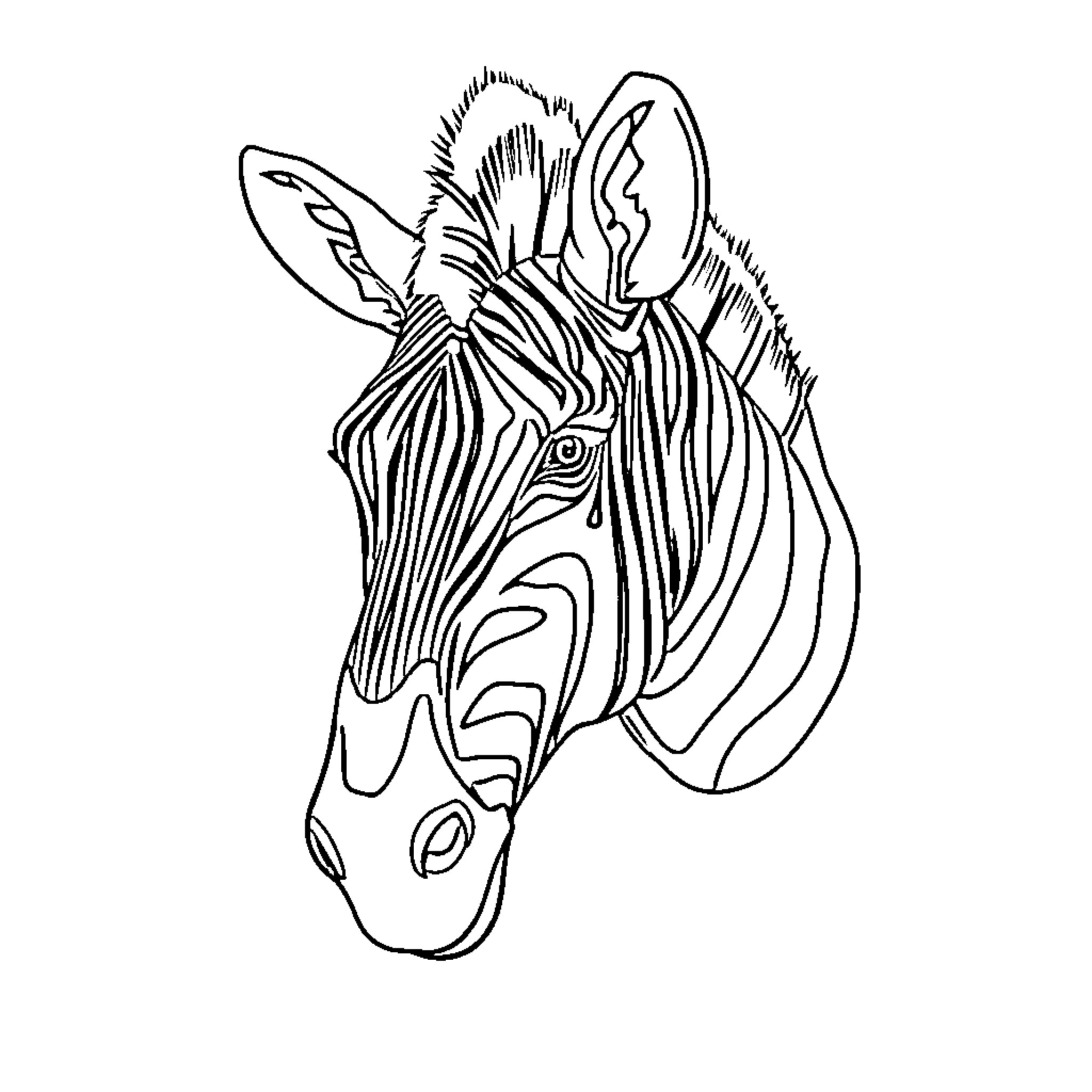 Zebra with abstract patterns Coloring Page (free black-and-white line drawing printable PDF for all, from beginners to advanced learners, including children, teens, adults, and seniors)