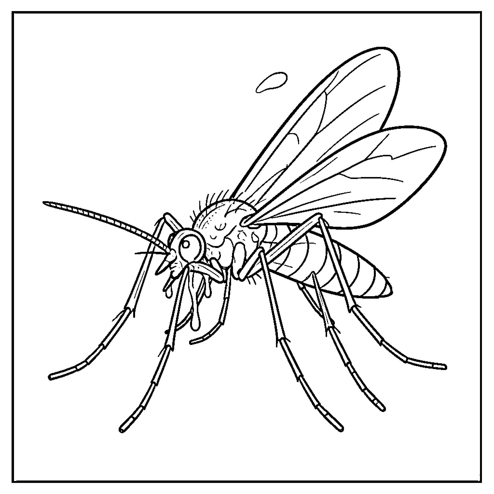 Moustique resting with wings spread open Coloring Page (free black-and-white line drawing printable PDF for all, from beginners to advanced learners, including children, teens, adults, and seniors)