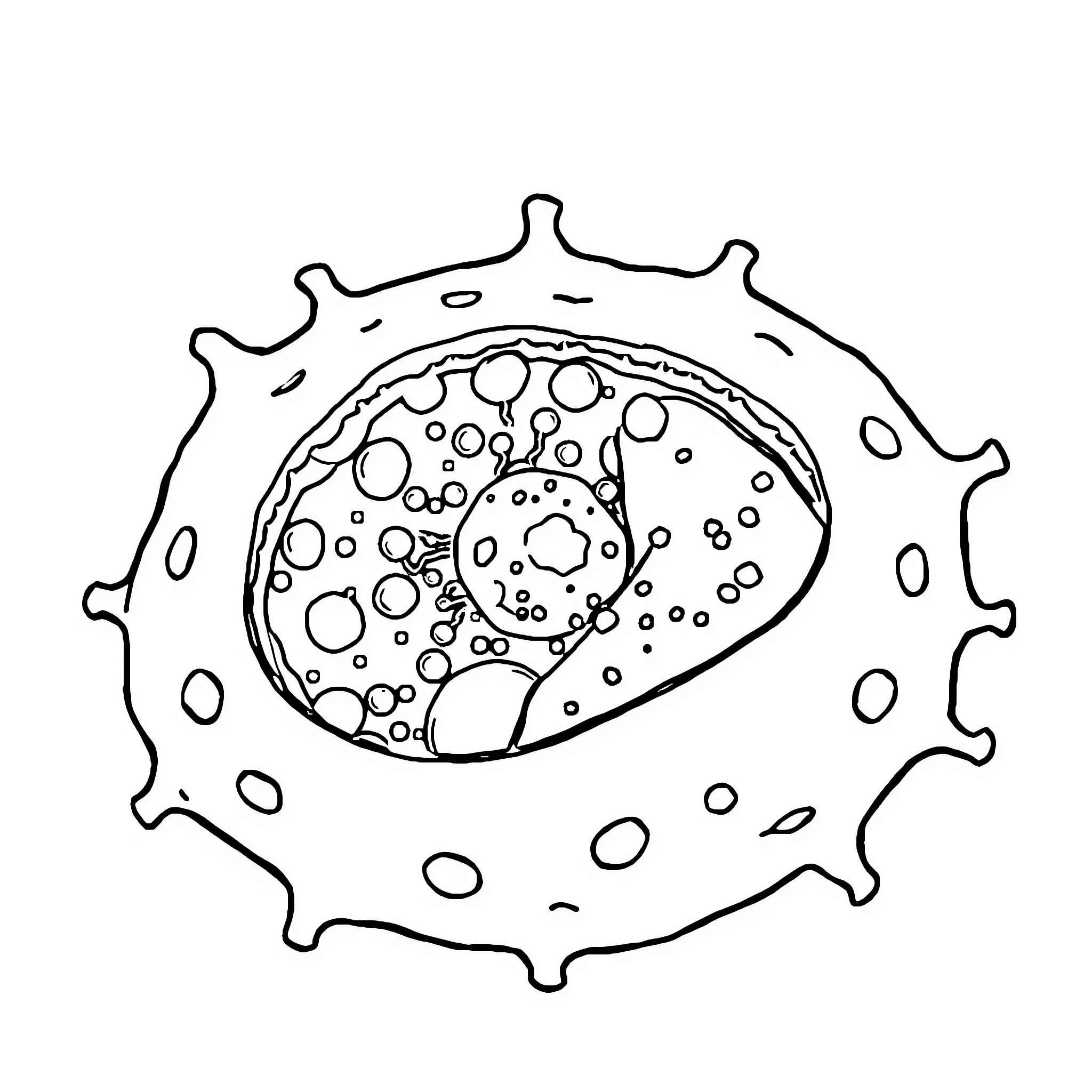 Mitochondria performing vital cellular functions Coloring Page (free black-and-white line drawing printable PDF for all, from beginners to advanced learners, including children, teens, adults, and seniors)