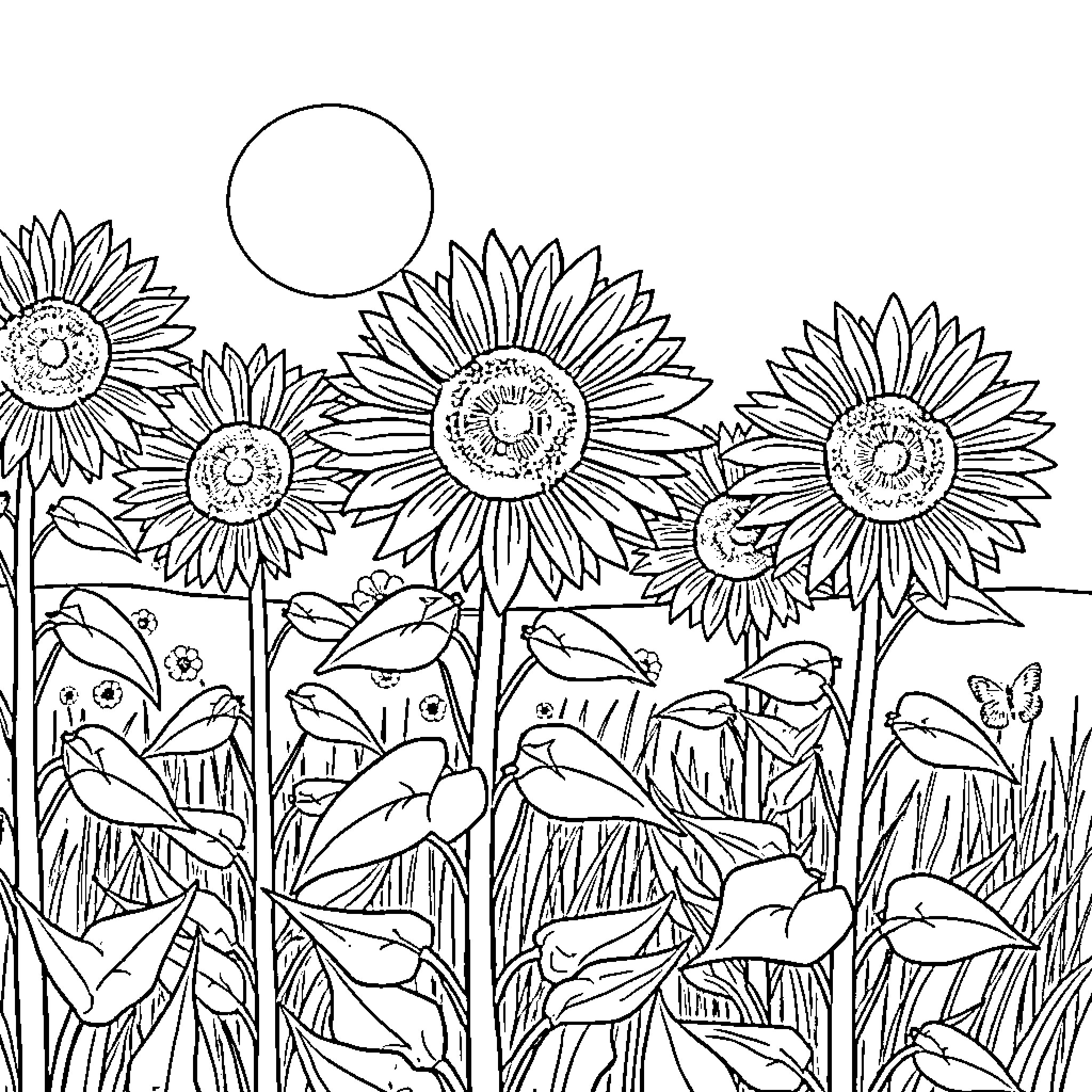 Sunflower field with playful birds Coloring Page (free black-and-white line drawing printable PDF for all, from beginners to advanced learners, including children, teens, adults, and seniors)