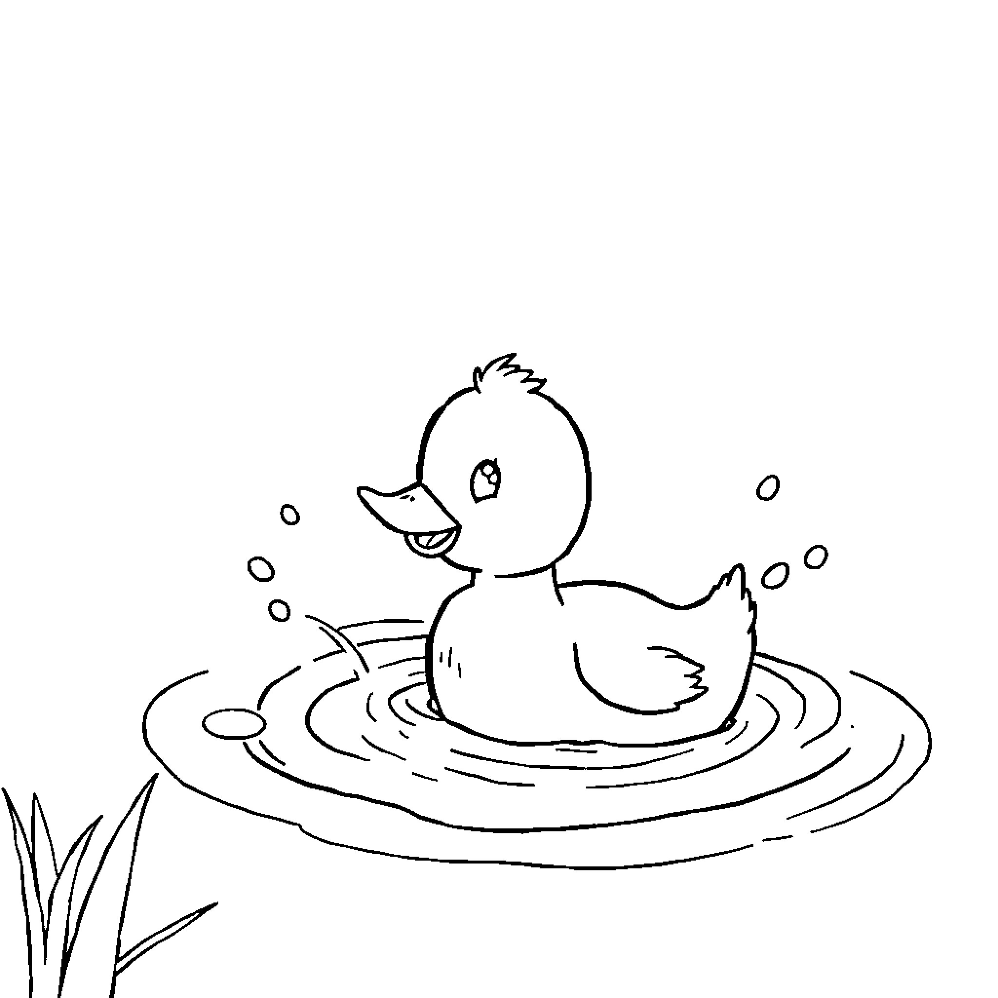 Duck splashing happily in the water Coloring Page (free black-and-white line drawing printable PDF for all, from beginners to advanced learners, including children, teens, adults, and seniors)
