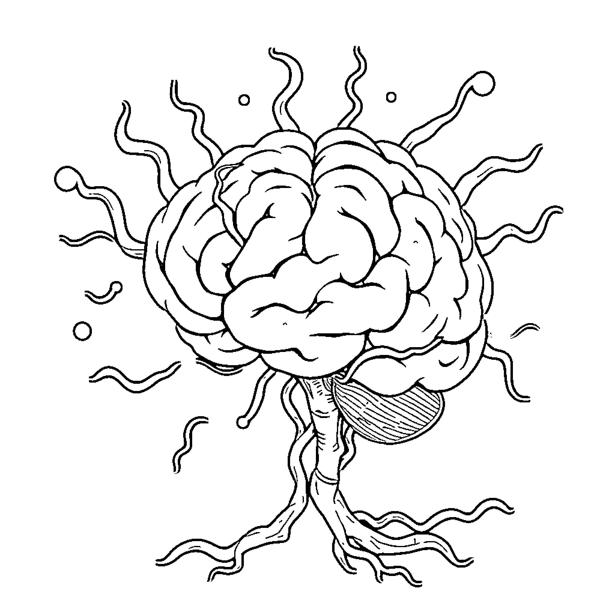 Brain with Whimsical Roots and Tendrils Coloring Page (free black-and-white line drawing printable PDF for all, from beginners to advanced learners, including children, teens, adults, and seniors)