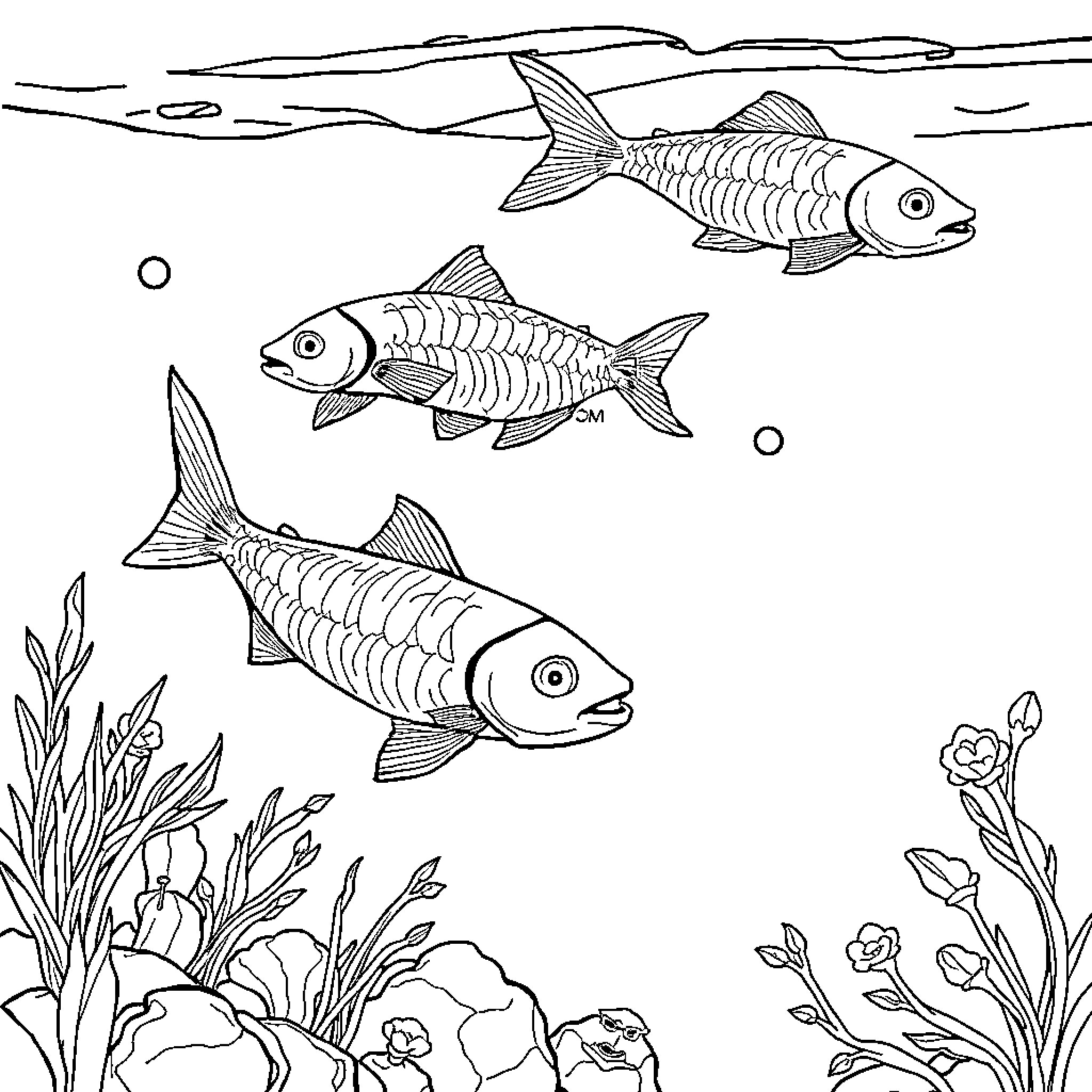 Fish swimming in underwater scene Coloring Page (free black-and-white line drawing printable PDF for all, from beginners to advanced learners, including children, teens, adults, and seniors)