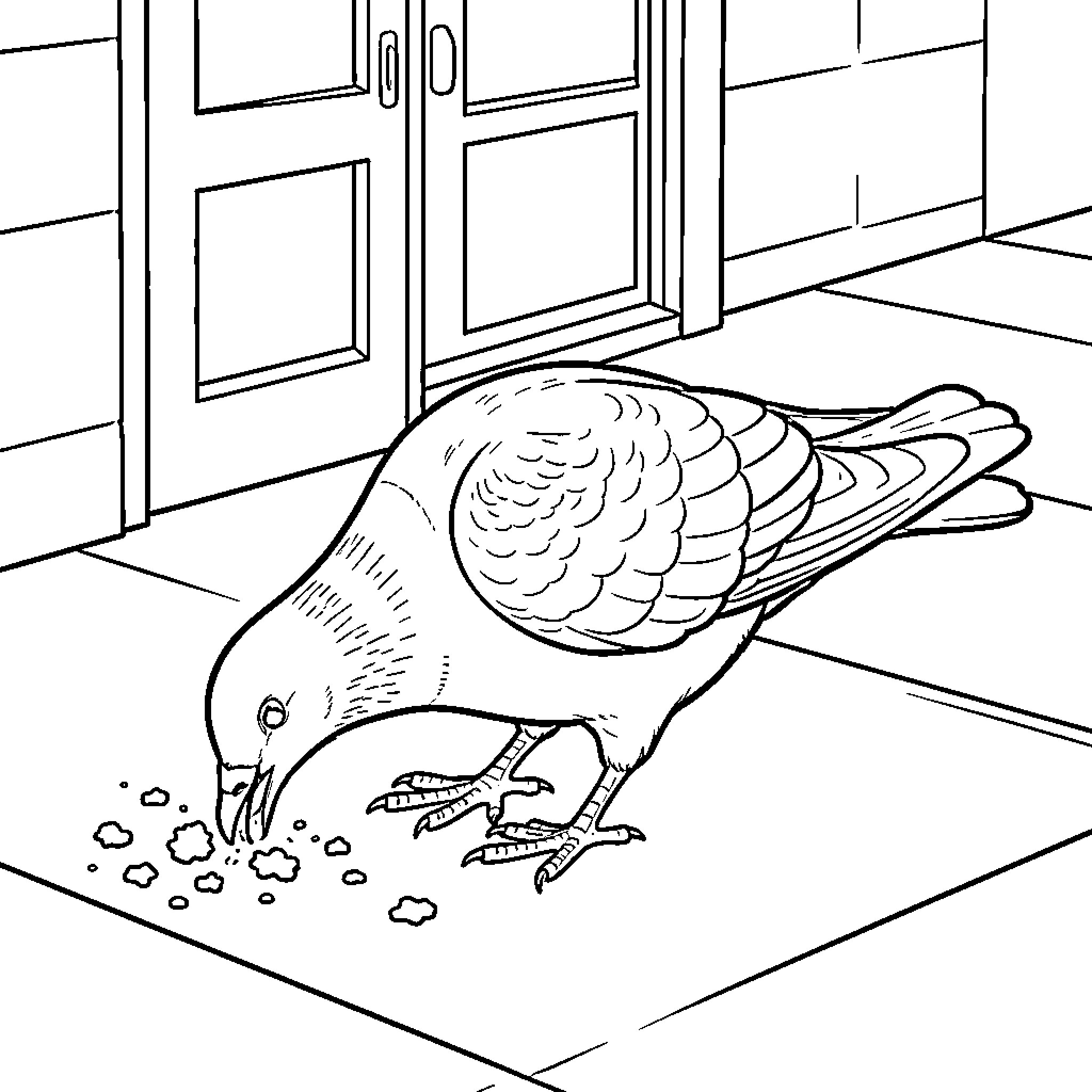Pigeon scavenging for food on the floor Coloring Page (free black-and-white line drawing printable PDF for all, from beginners to advanced learners, including children, teens, adults, and seniors)