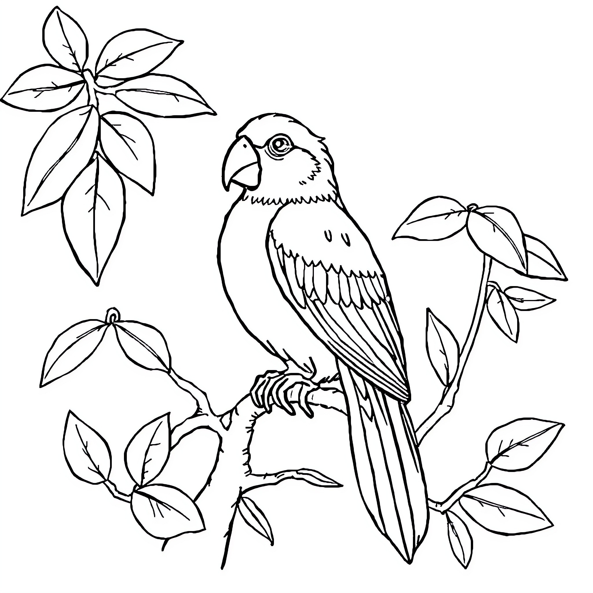 The Colorable Avian Paradise Coloring Page (free black-and-white line drawing printable PDF for all, from beginners to advanced learners, including children, teens, adults, and seniors)