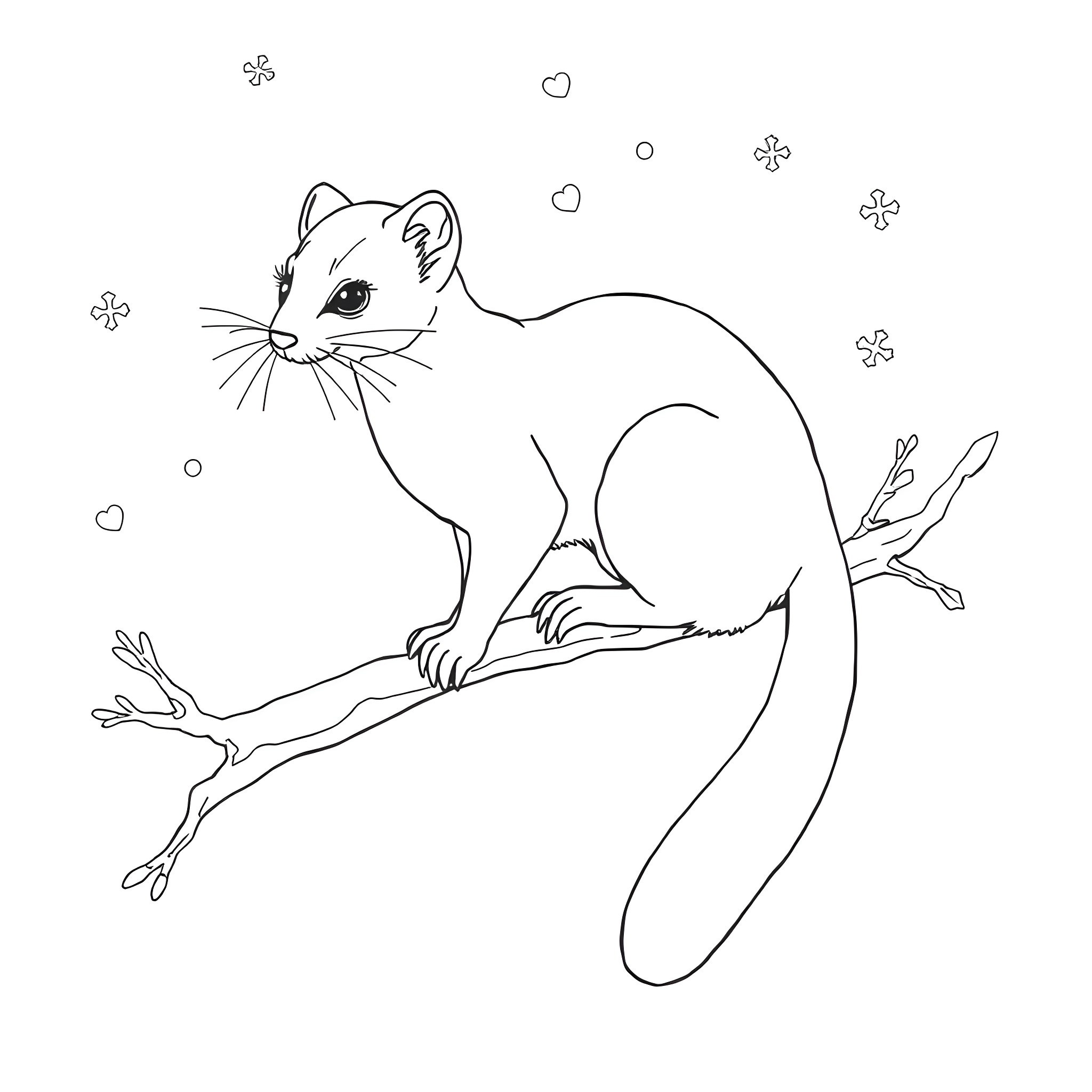 Ermine on a branch with flowers Coloring Page (free black-and-white line drawing printable PDF for all, from beginners to advanced learners, including children, teens, adults, and seniors)