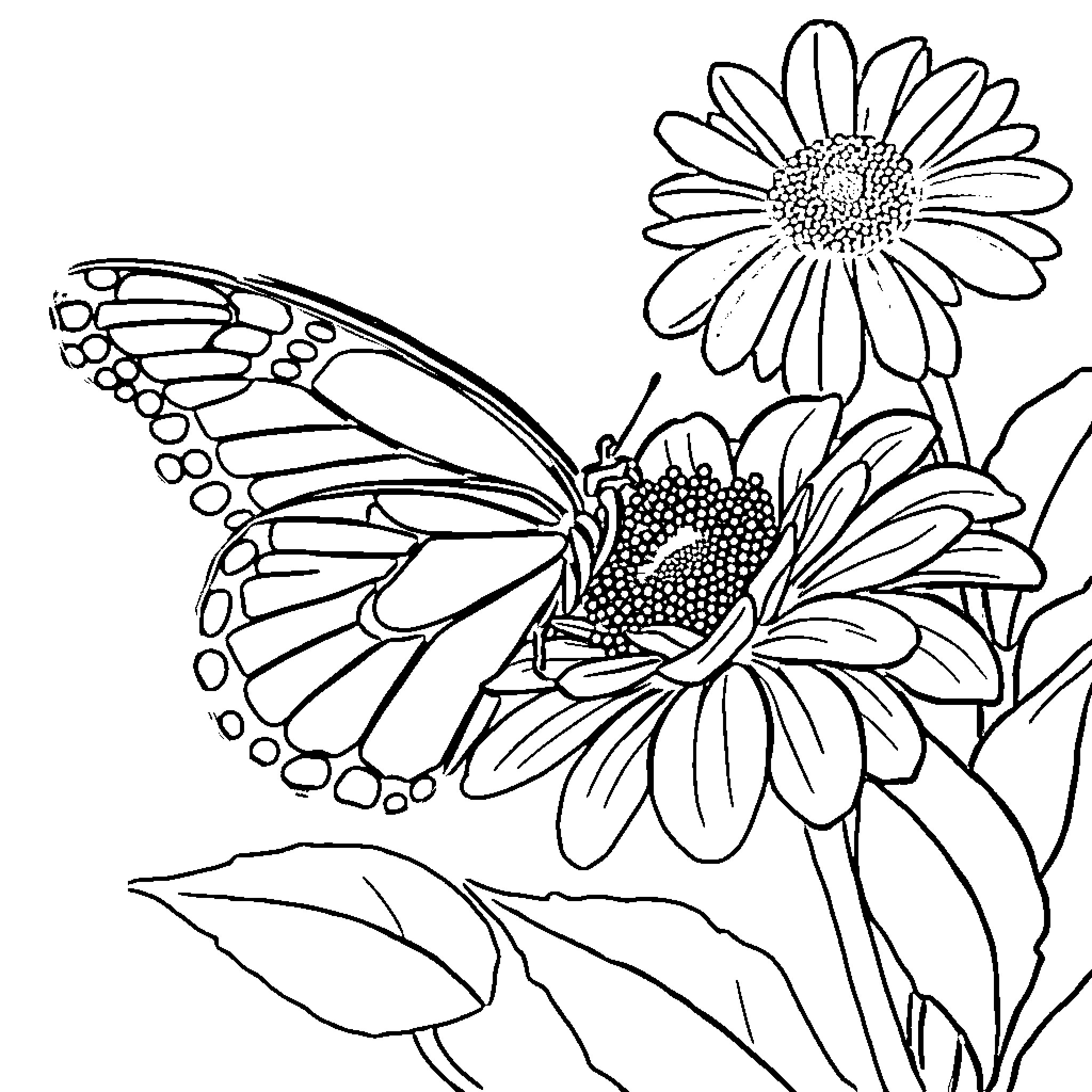 Butterfly resting on blooming daisies Coloring Page (free black-and-white line drawing printable PDF for all, from beginners to advanced learners, including children, teens, adults, and seniors)