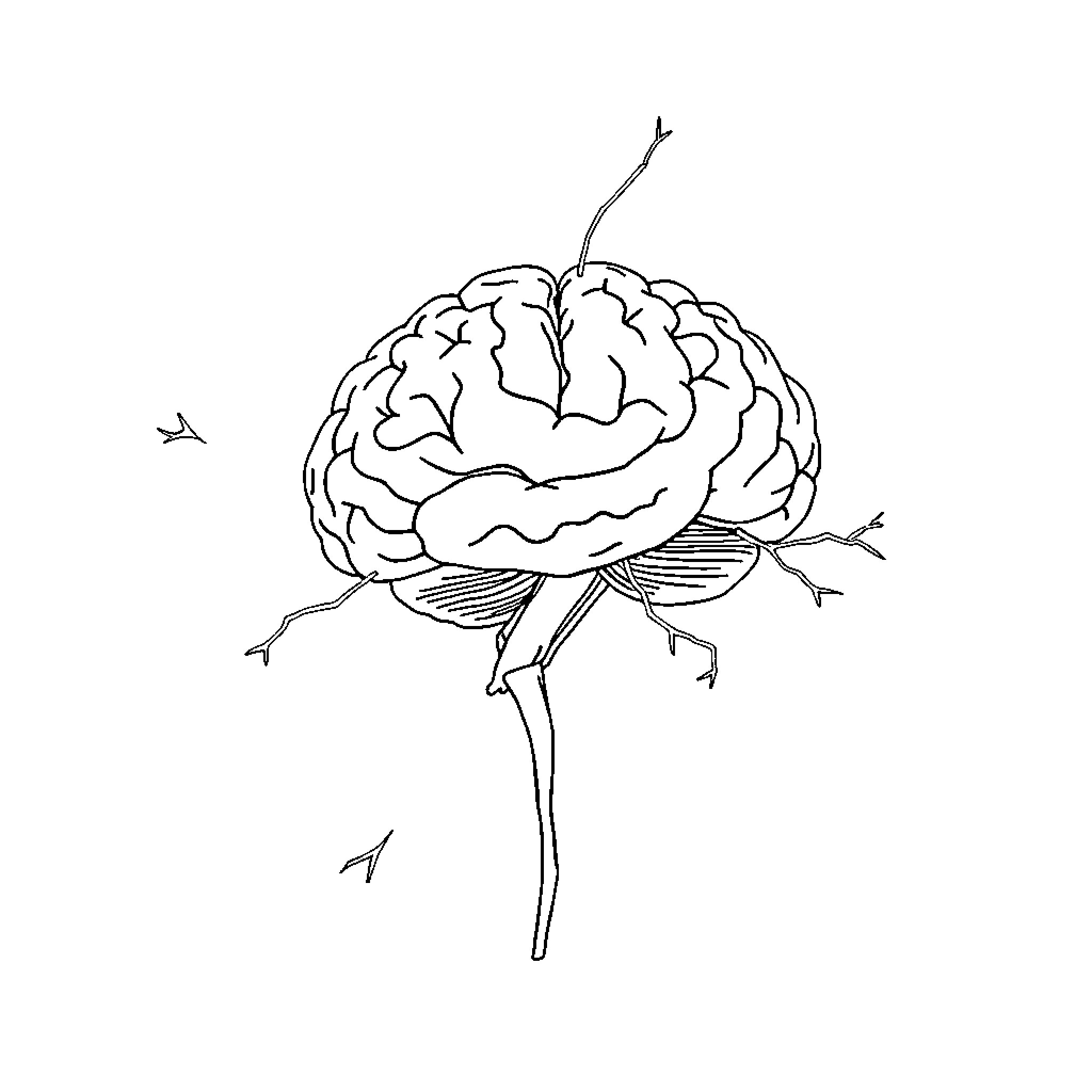 Nervous System Abstract Brain Illustration Coloring Page (free black-and-white line drawing printable PDF for all, from beginners to advanced learners, including children, teens, adults, and seniors)