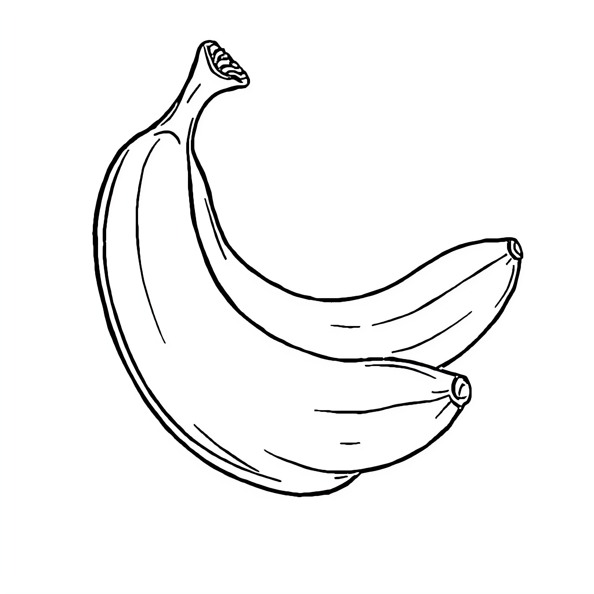 Banana bunch in simple outline Coloring Page (free black-and-white line drawing printable PDF for all, from beginners to advanced learners, including children, teens, adults, and seniors)