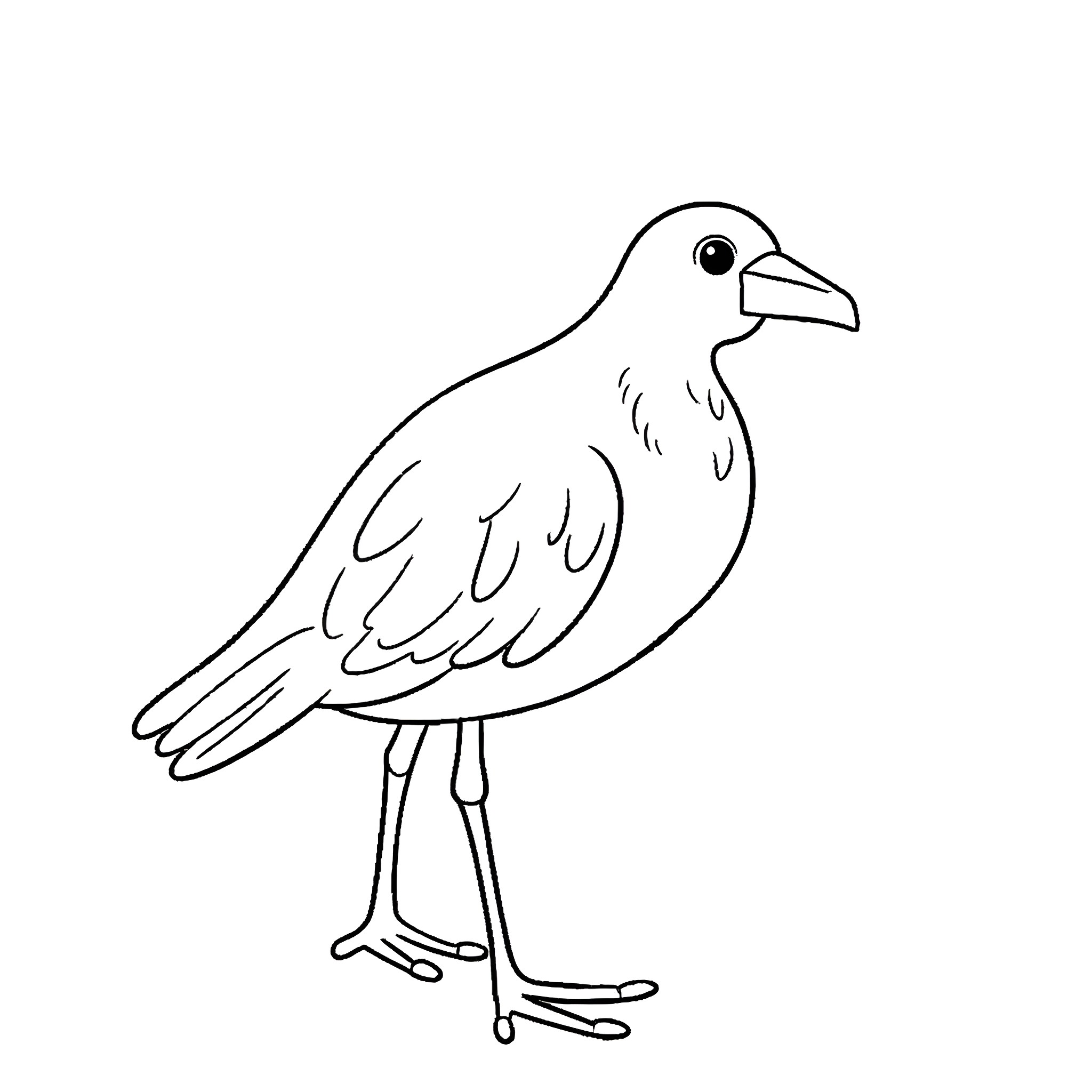 Photographer captures simple bird illustration Coloring Page (free black-and-white line drawing printable PDF for all, from beginners to advanced learners, including children, teens, adults, and seniors)