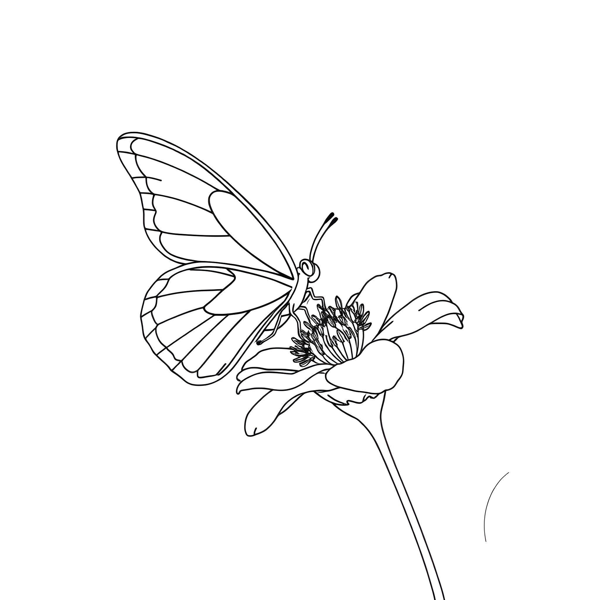 Butterfly landing on flower bloom Coloring Page (free black-and-white line drawing printable PDF for all, from beginners to advanced learners, including children, teens, adults, and seniors)