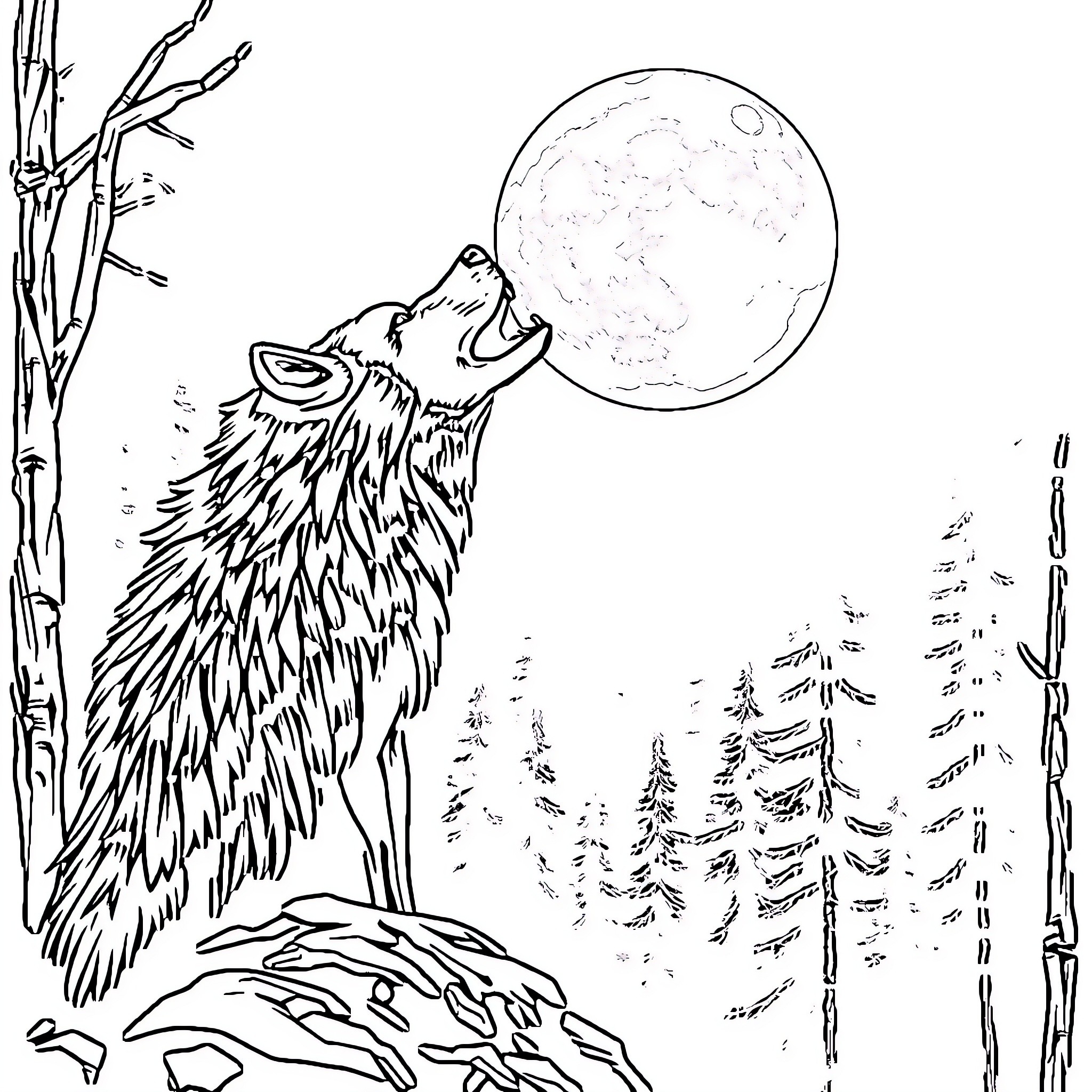 Werewolf howling at the full moon in a forest Coloring Page (free black-and-white line drawing printable PDF for all, from beginners to advanced learners, including children, teens, adults, and seniors)