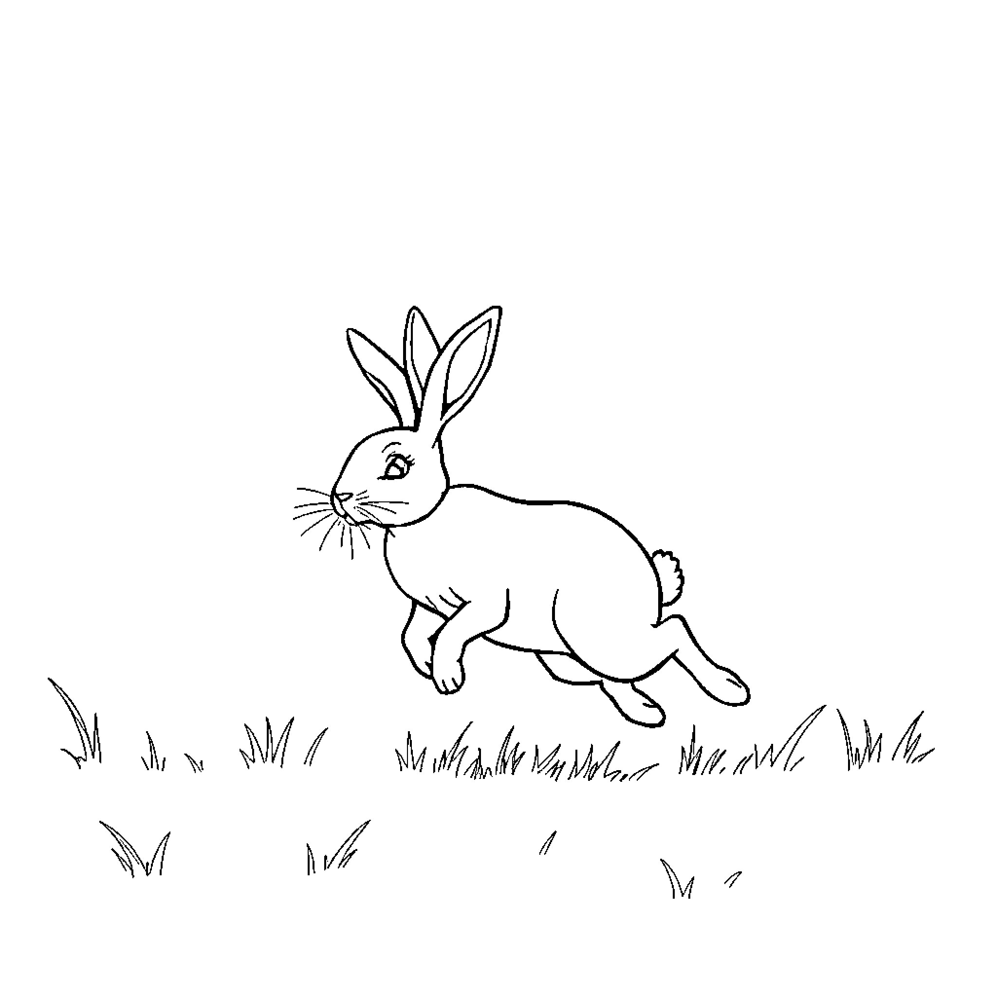 Rabbit hopping joyfully through the meadow Coloring Page (free black-and-white line drawing printable PDF for all, from beginners to advanced learners, including children, teens, adults, and seniors)