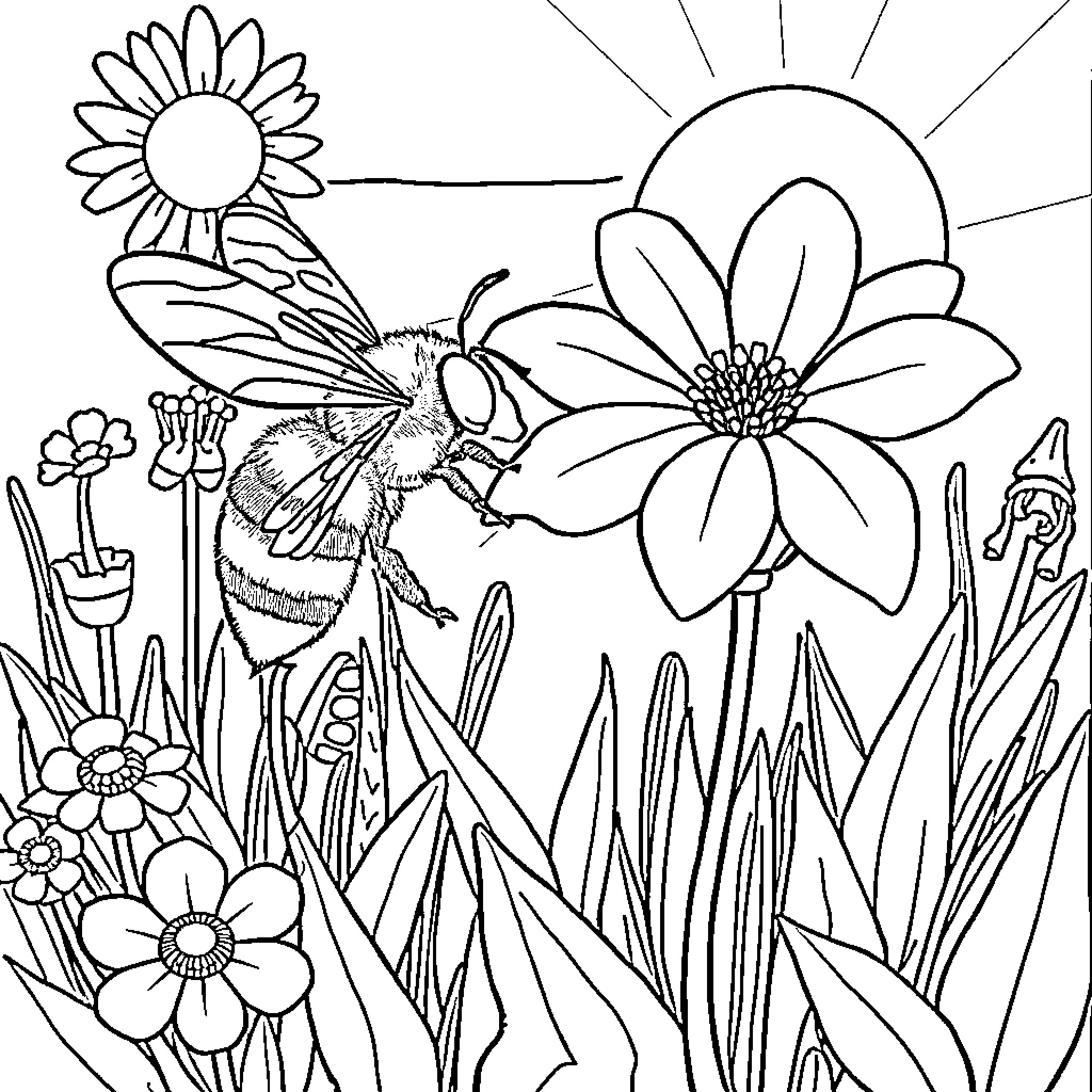Bee pollinating flowers in the garden Coloring Page (free black-and-white line drawing printable PDF for all, from beginners to advanced learners, including children, teens, adults, and seniors)