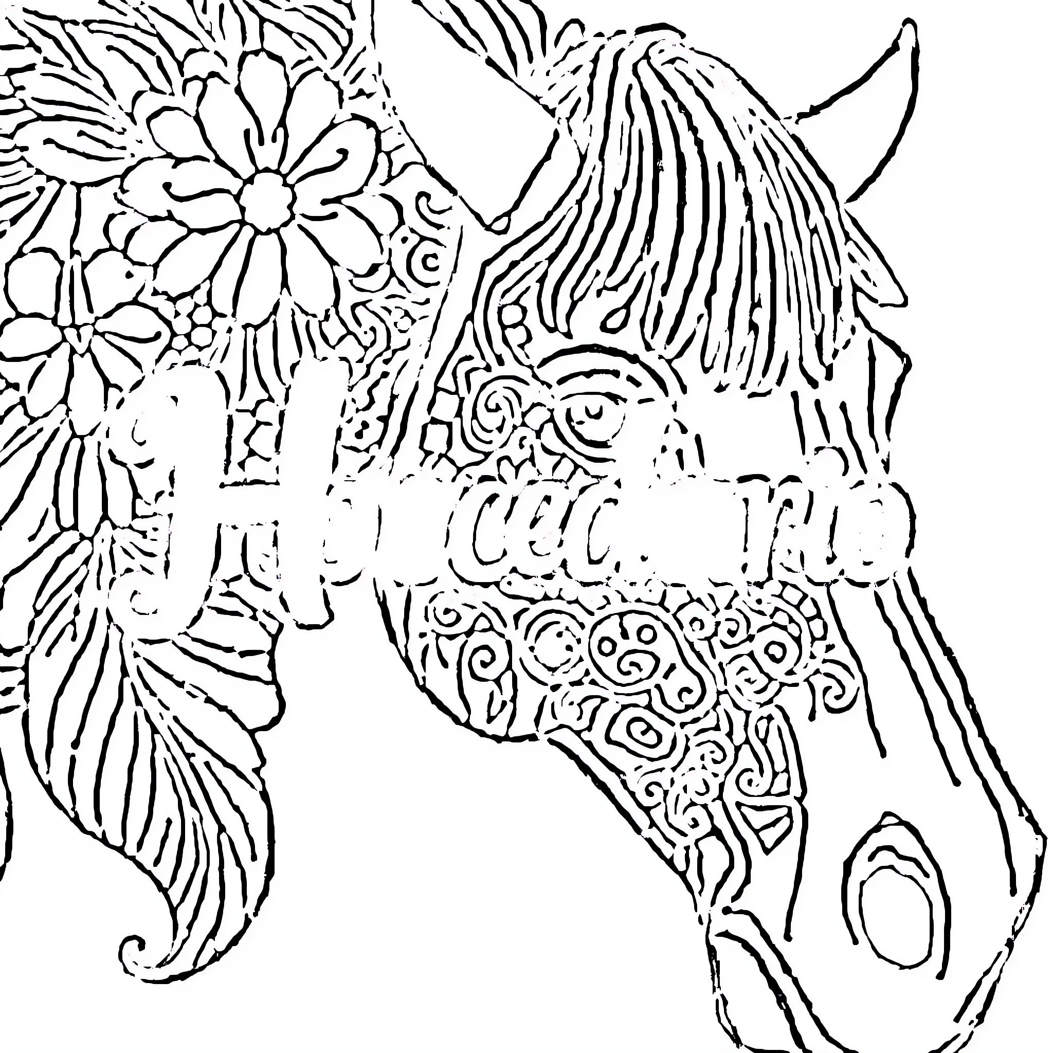 Alphabet Horse with Intricate Floral Patterns Coloring Page (free black-and-white line drawing printable PDF for all, from beginners to advanced learners, including children, teens, adults, and seniors)