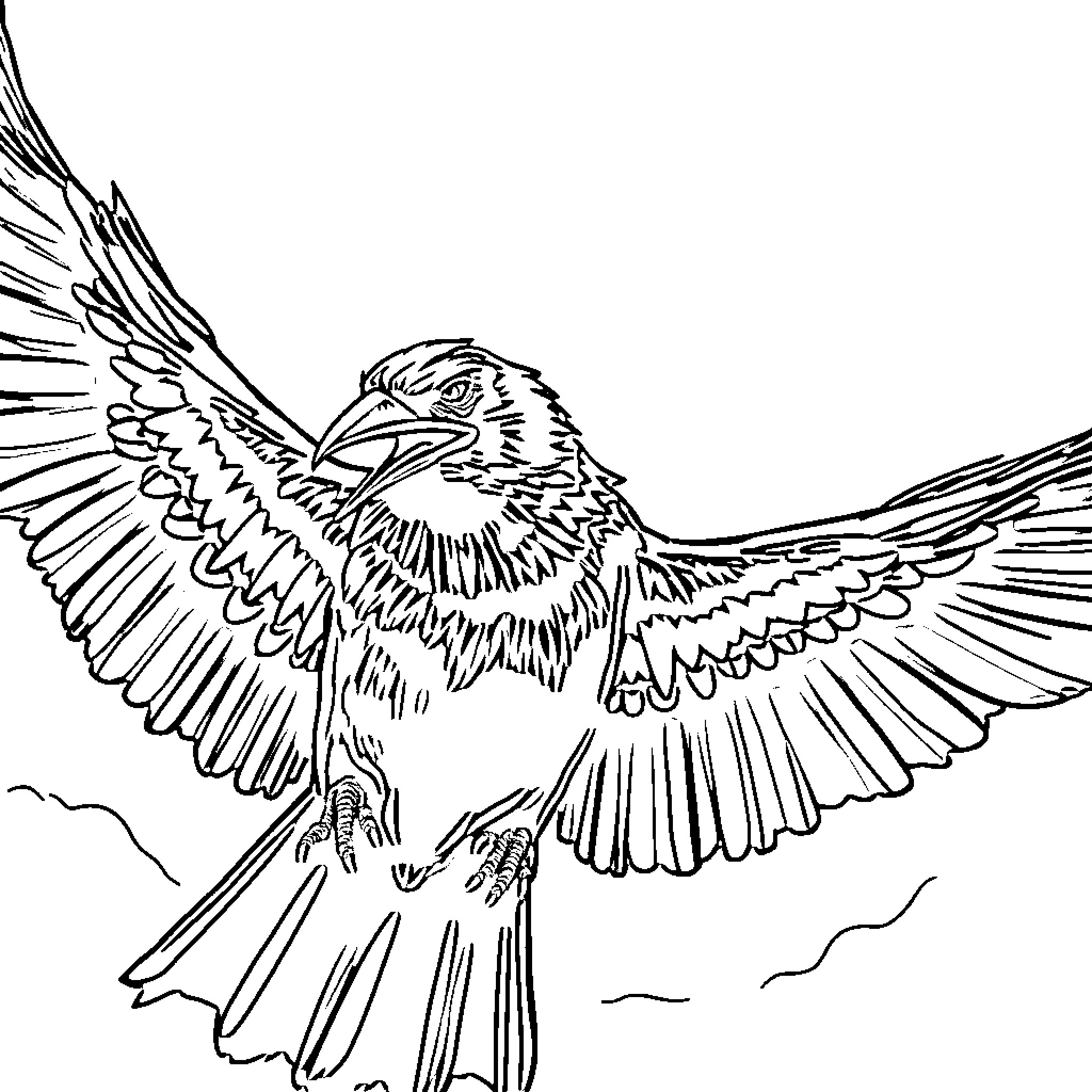 Raven soaring with outstretched wings Coloring Page (free black-and-white line drawing printable PDF for all, from beginners to advanced learners, including children, teens, adults, and seniors)