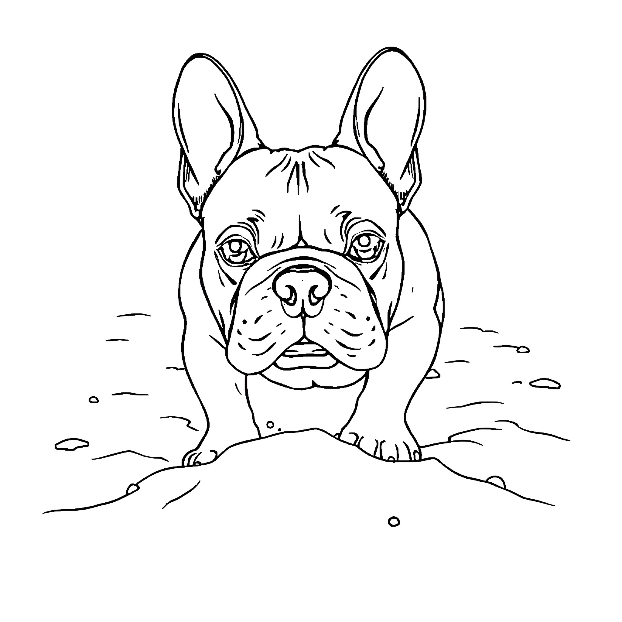 French Bulldog peeking curiously from the ground Coloring Page (free black-and-white line drawing printable PDF for all, from beginners to advanced learners, including children, teens, adults, and seniors)