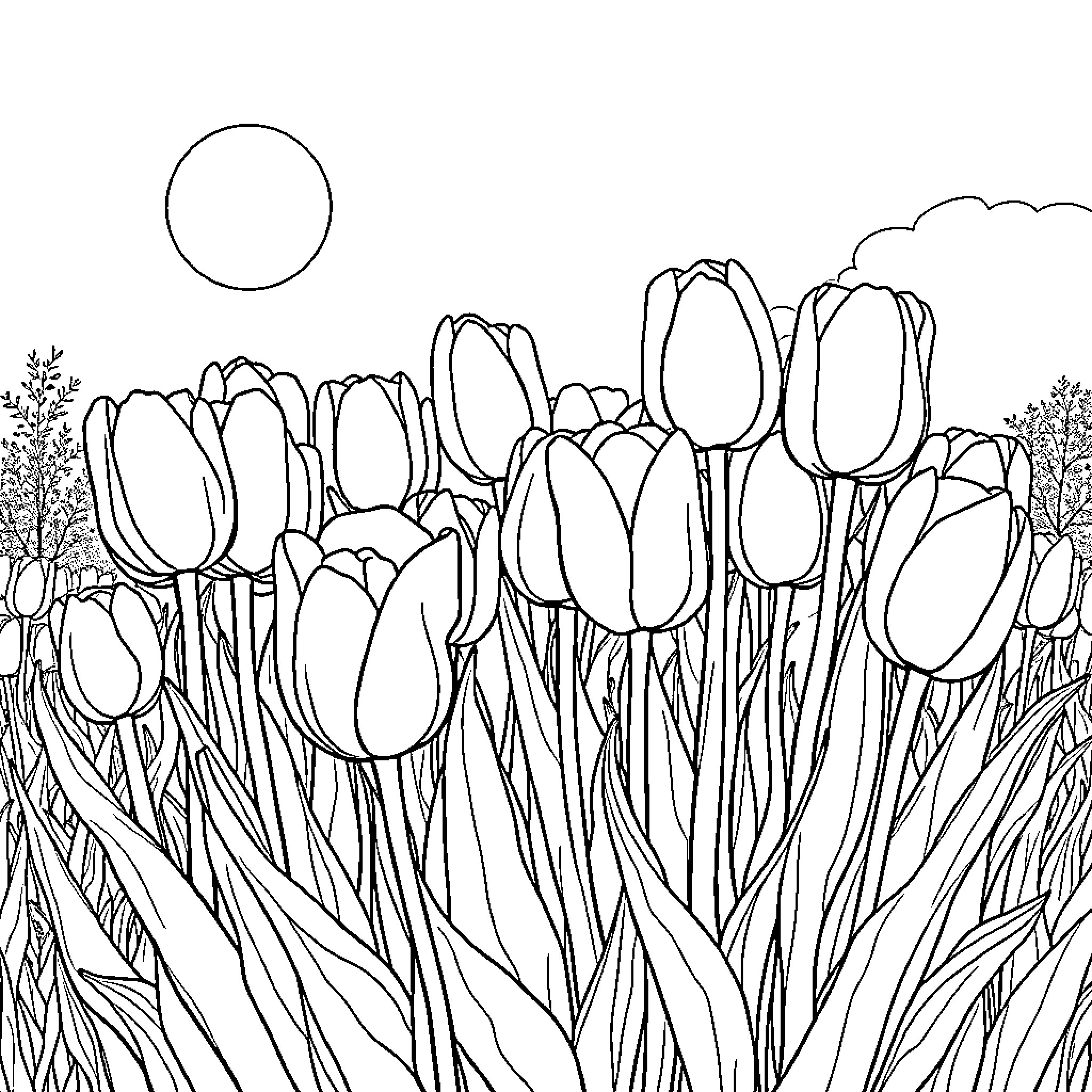 Tulip Garden Blossoms Coloring Page (free black-and-white line drawing printable PDF for all, from beginners to advanced learners, including children, teens, adults, and seniors)