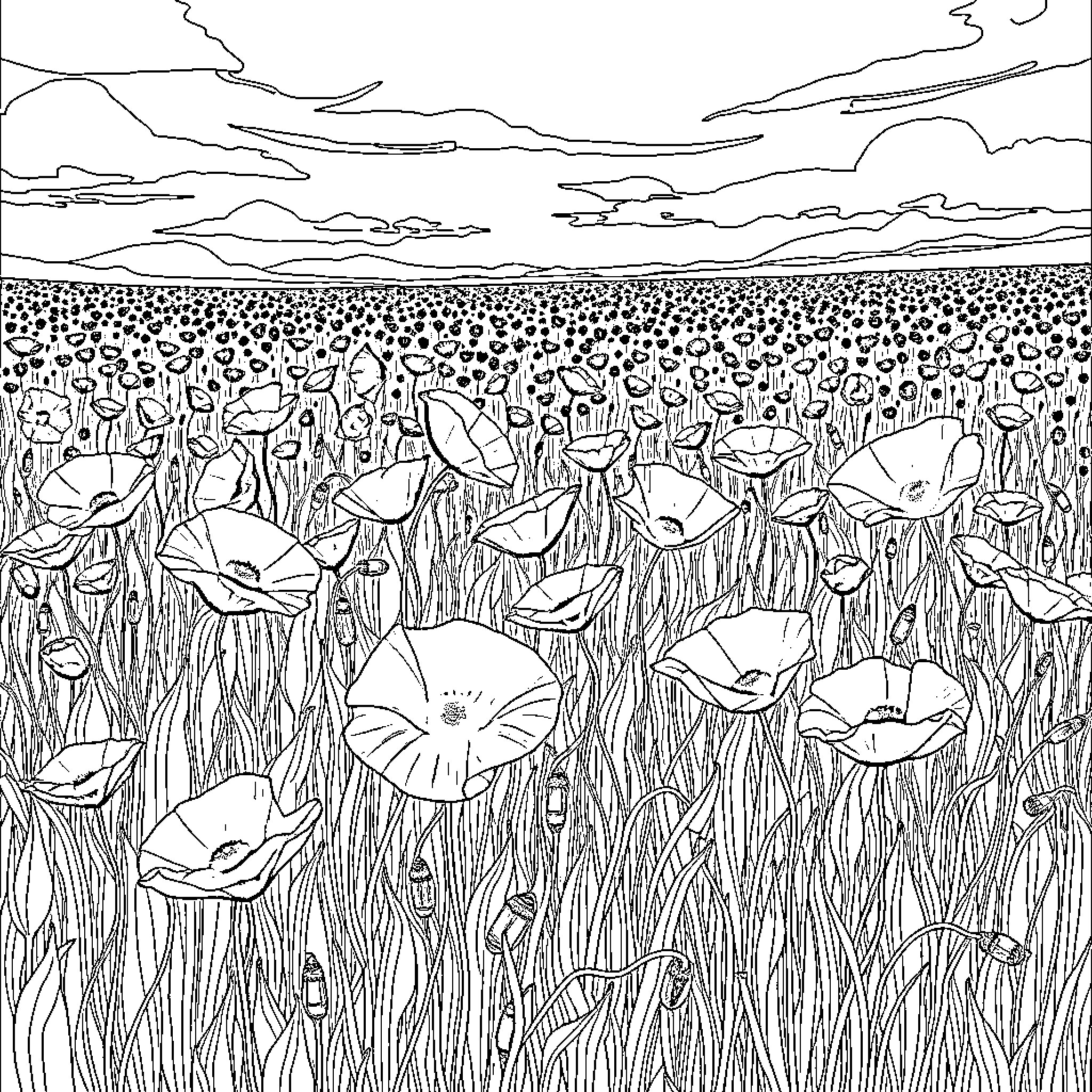 Poppy Field Under a Dramatic Sky Coloring Page (free black-and-white line drawing printable PDF for all, from beginners to advanced learners, including children, teens, adults, and seniors)