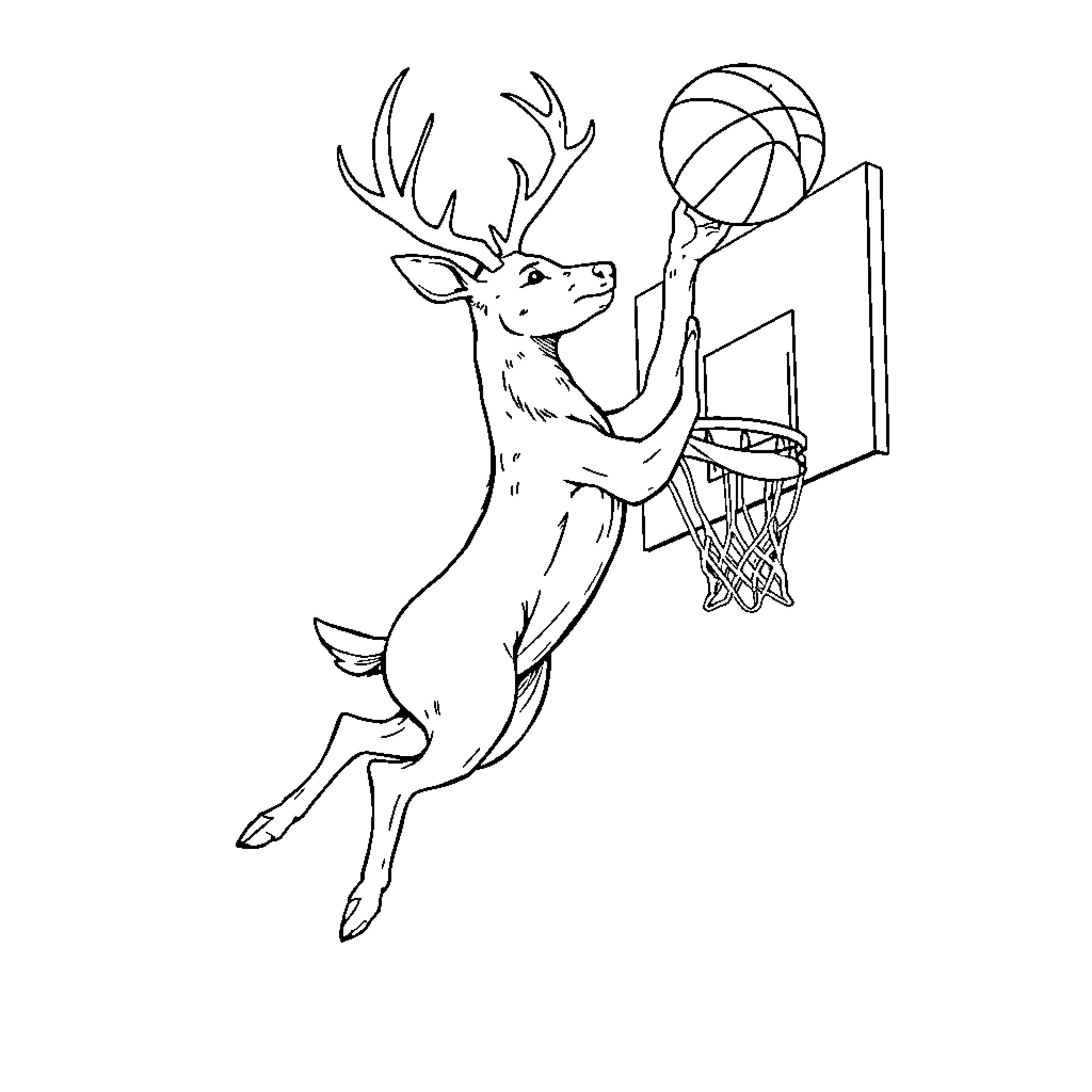 Deer playing basketball on court Coloring Page (free black-and-white line drawing printable PDF for all, from beginners to advanced learners, including children, teens, adults, and seniors)