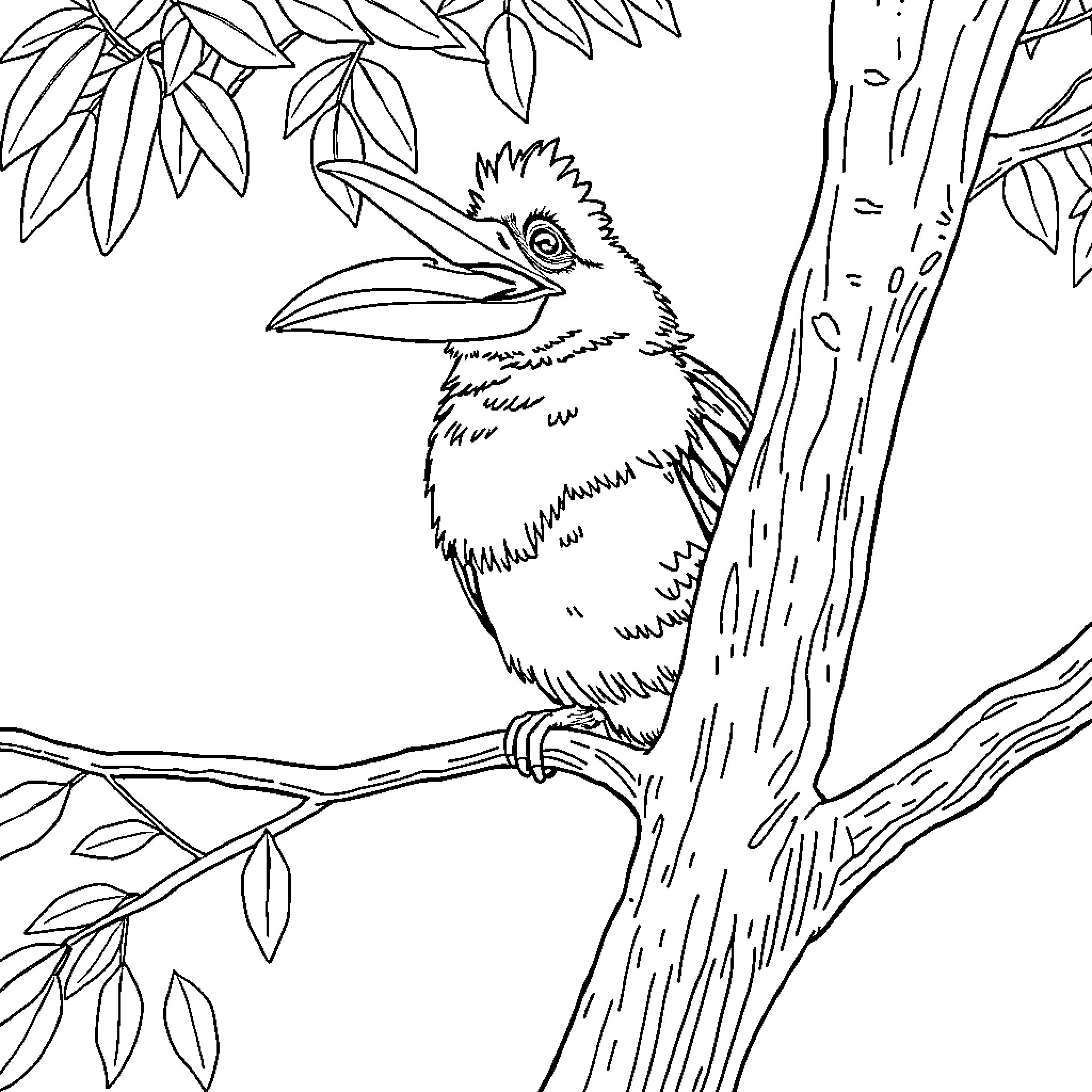 Kookaburra perched on tree branch Coloring Page (free black-and-white line drawing printable PDF for all, from beginners to advanced learners, including children, teens, adults, and seniors)