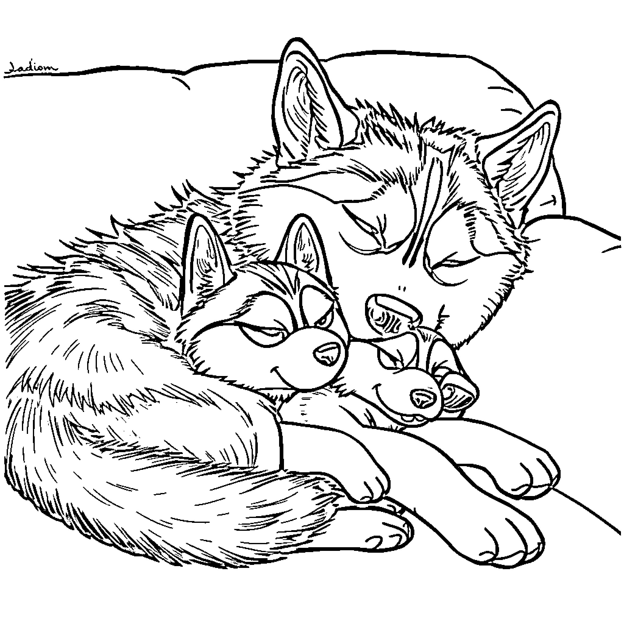 Husky siblings resting peacefully together Coloring Page (free black-and-white line drawing printable PDF for all, from beginners to advanced learners, including children, teens, adults, and seniors)