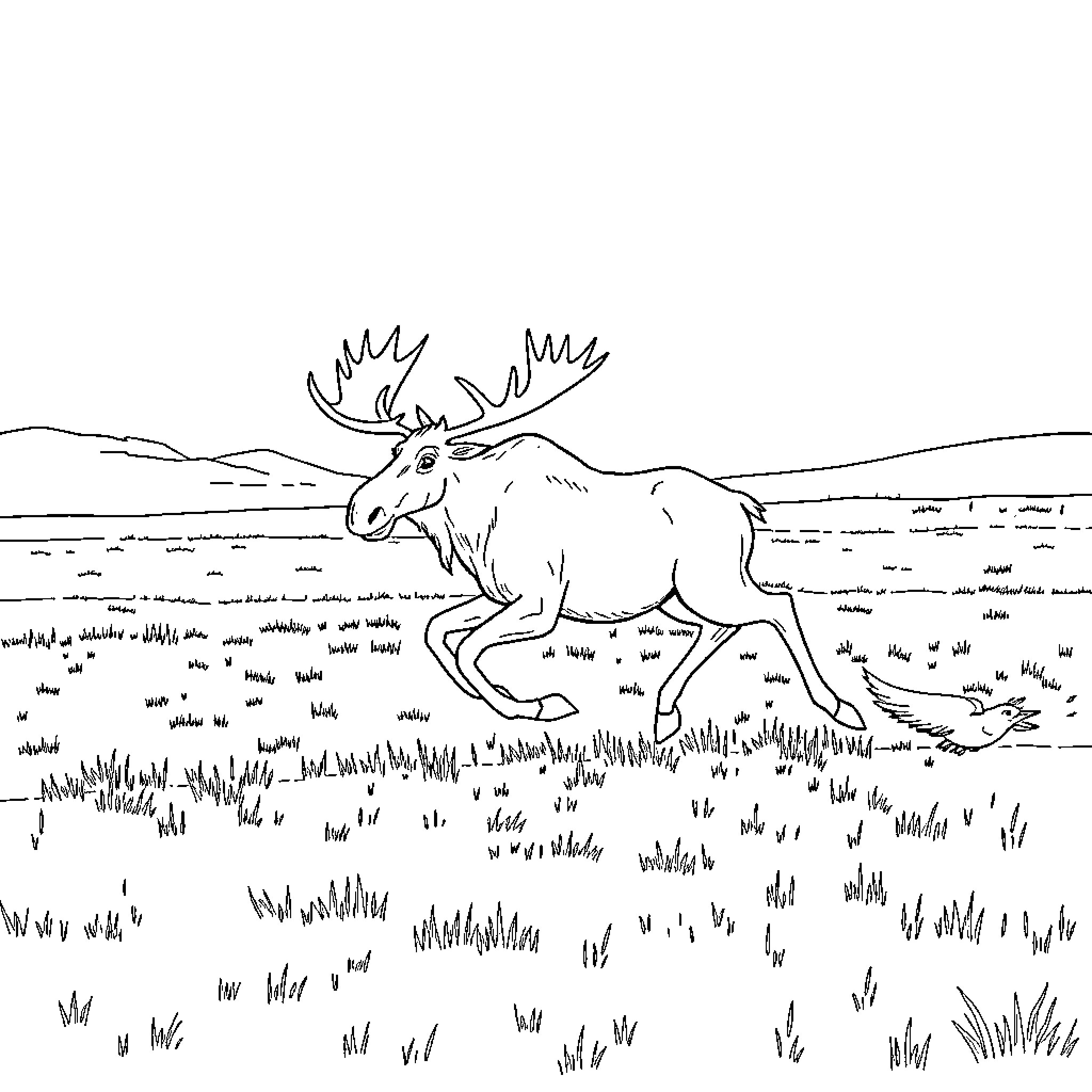 Moose running through the wilderness Coloring Page (free black-and-white line drawing printable PDF for all, from beginners to advanced learners, including children, teens, adults, and seniors)