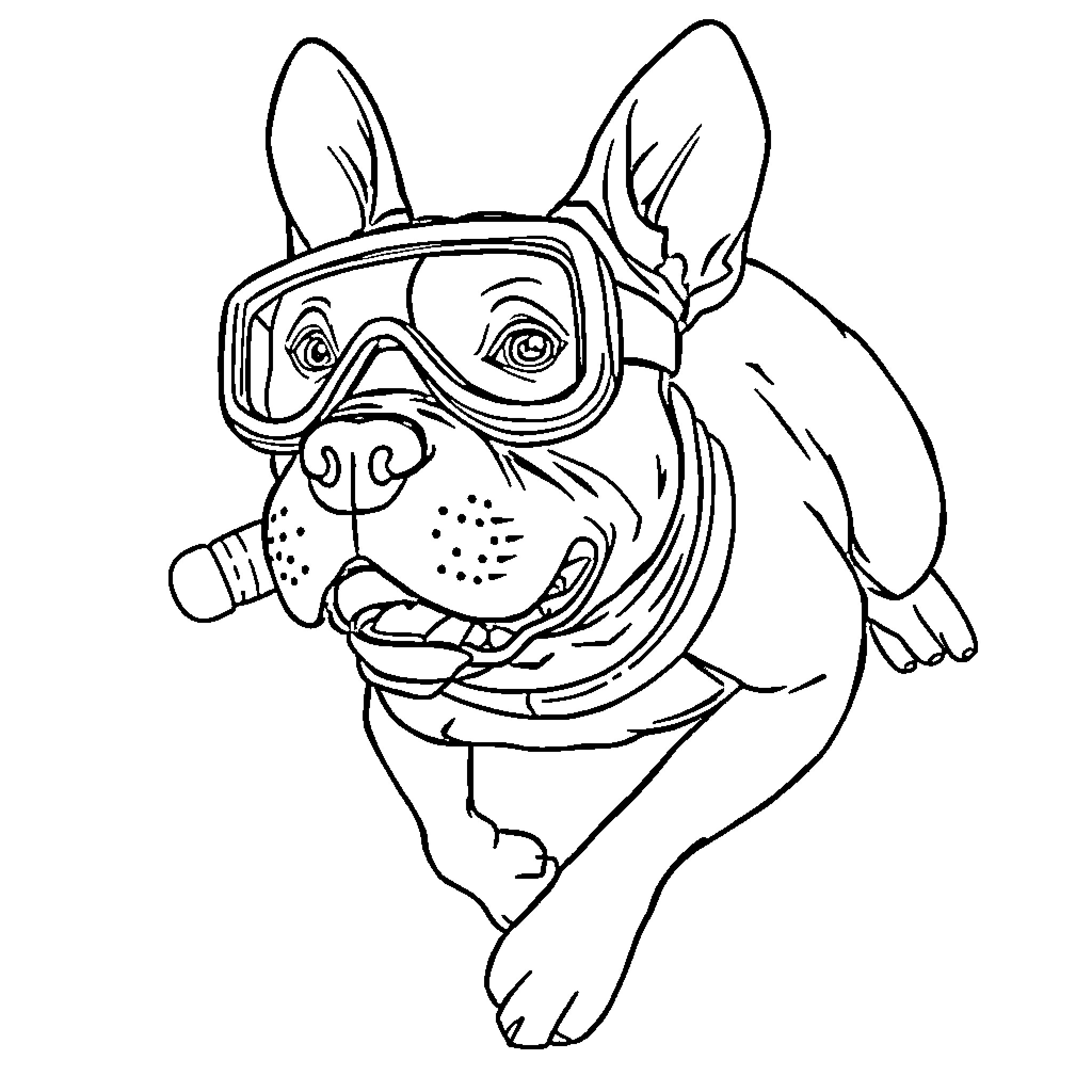 Pitbull wearing diving mask and snorkel Coloring Page (free black-and-white line drawing printable PDF for all, from beginners to advanced learners, including children, teens, adults, and seniors)