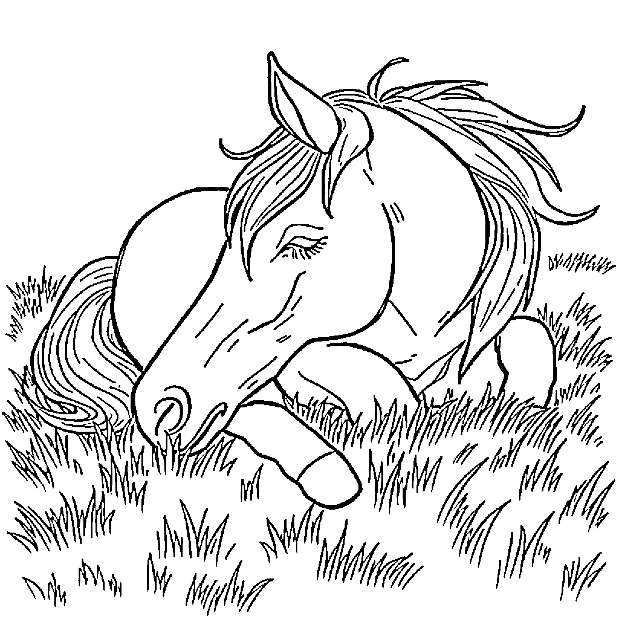 Horse in a grassy field Coloring Page (free black-and-white line drawing printable PDF for all, from beginners to advanced learners, including children, teens, adults, and seniors)