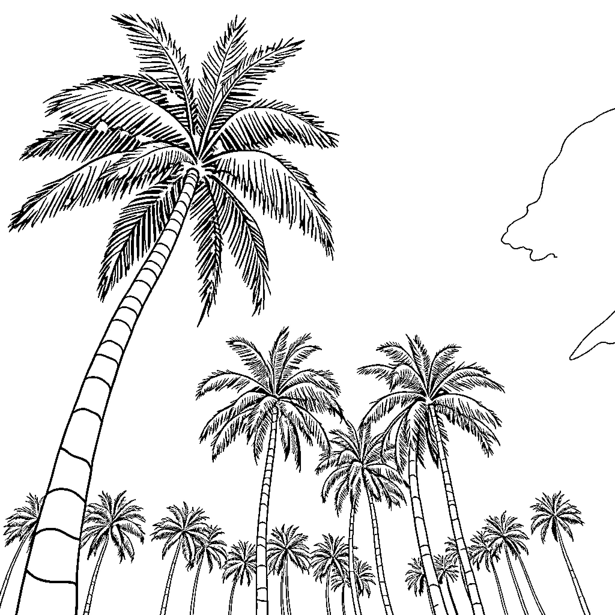 Palm Tree Silhouettes in Tropical Landscape Coloring Page (free black-and-white line drawing printable PDF for all, from beginners to advanced learners, including children, teens, adults, and seniors)