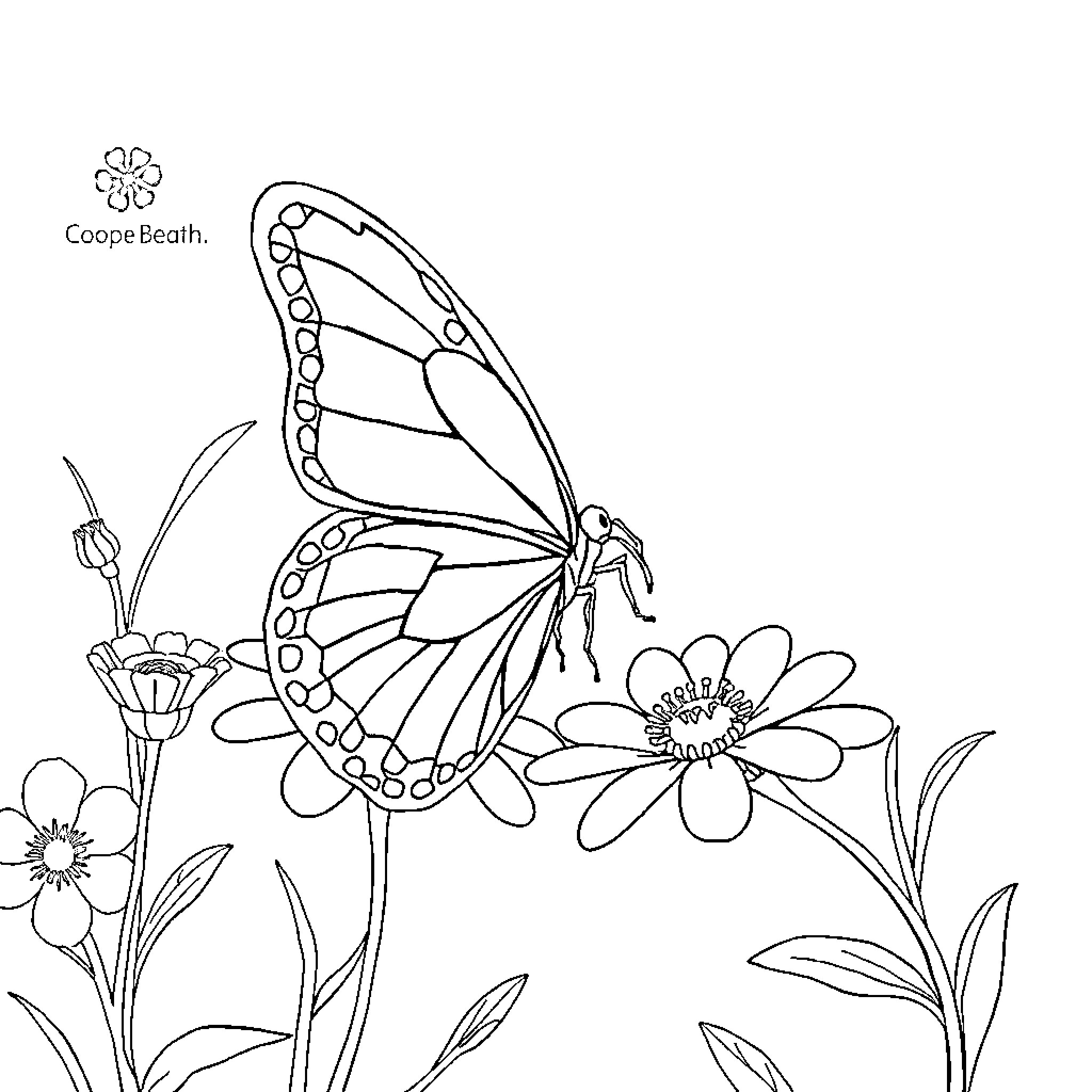 Butterfly resting on flowers Coloring Page (free black-and-white line drawing printable PDF for all, from beginners to advanced learners, including children, teens, adults, and seniors)