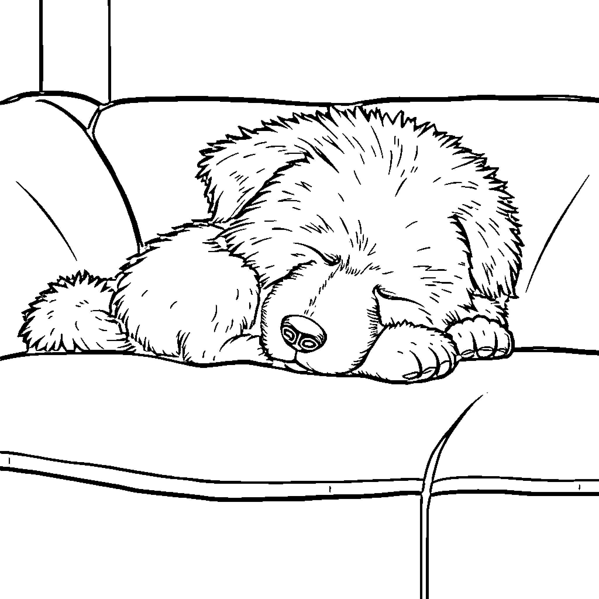 Dog sleeping peacefully on a cushion Coloring Page (free black-and-white line drawing printable PDF for all, from beginners to advanced learners, including children, teens, adults, and seniors)