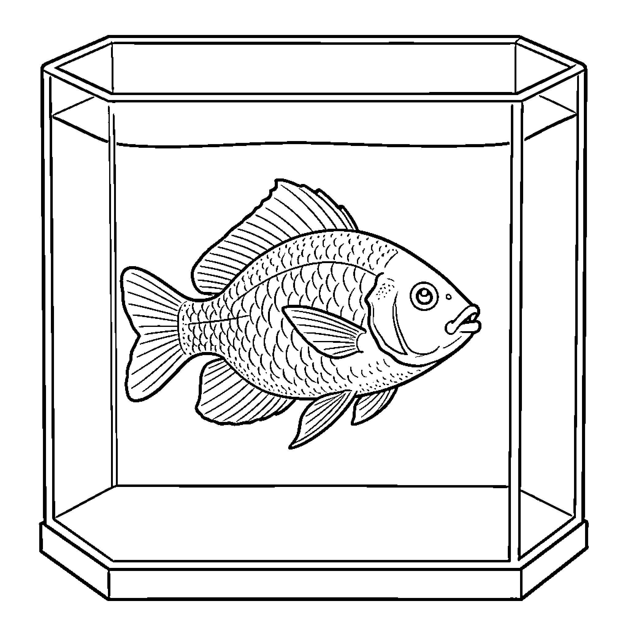 Oscar Fish swimming inside a glass aquarium Coloring Page (free black-and-white line drawing printable PDF for all, from beginners to advanced learners, including children, teens, adults, and seniors)