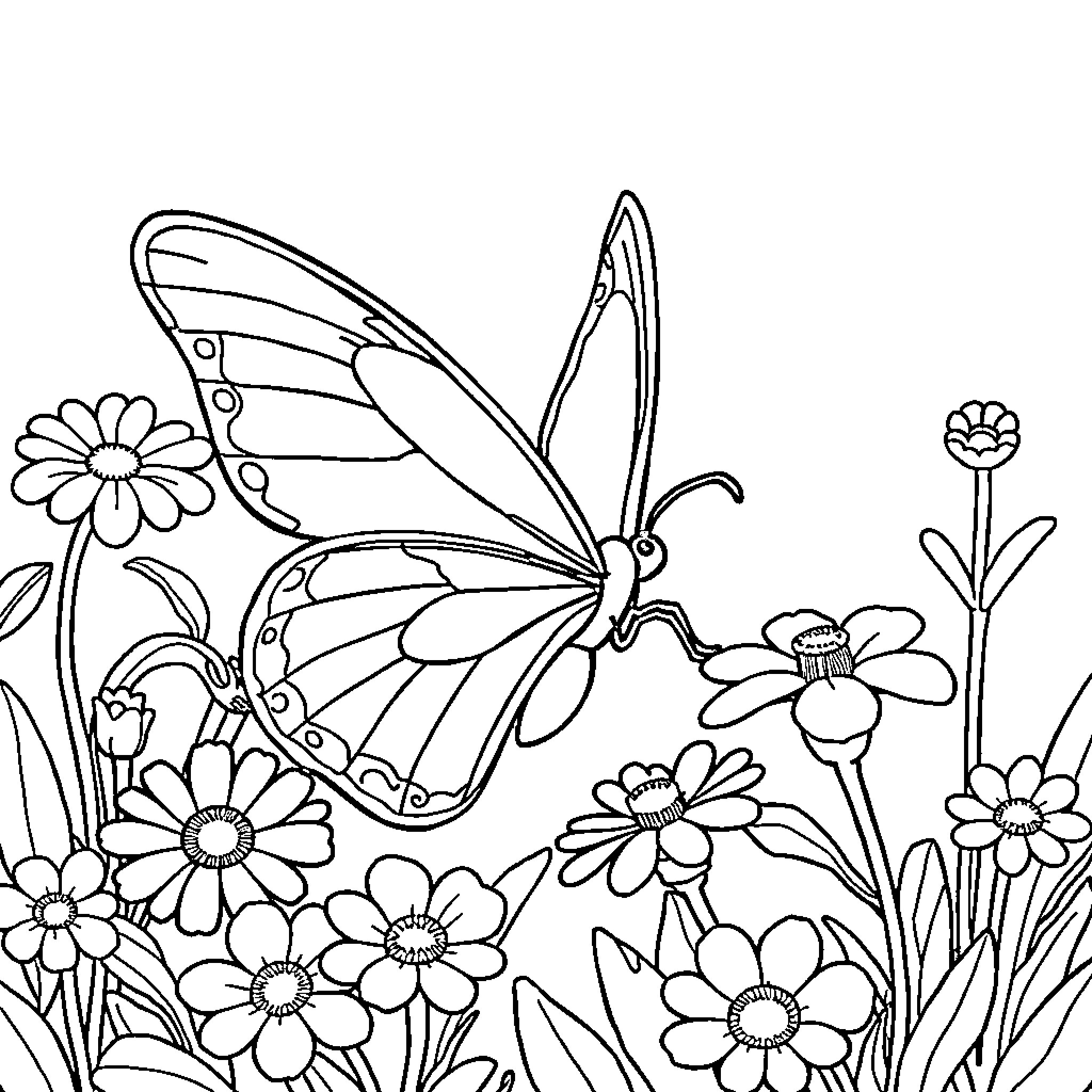 Butterfly flying amongst colorful flowers Coloring Page (free black-and-white line drawing printable PDF for all, from beginners to advanced learners, including children, teens, adults, and seniors)