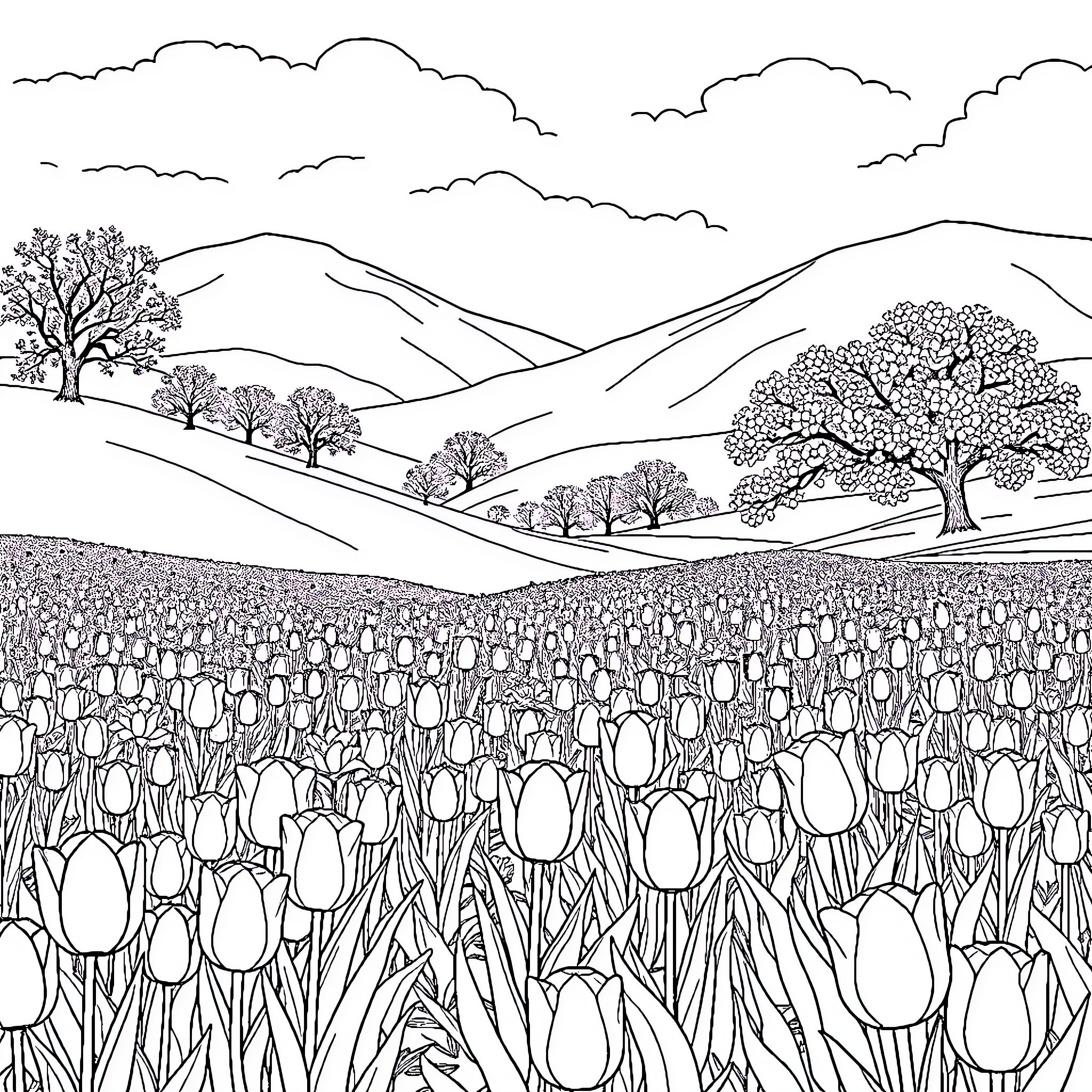 Tulip garden in a scenic landscape Coloring Page (free black-and-white line drawing printable PDF for all, from beginners to advanced learners, including children, teens, adults, and seniors)