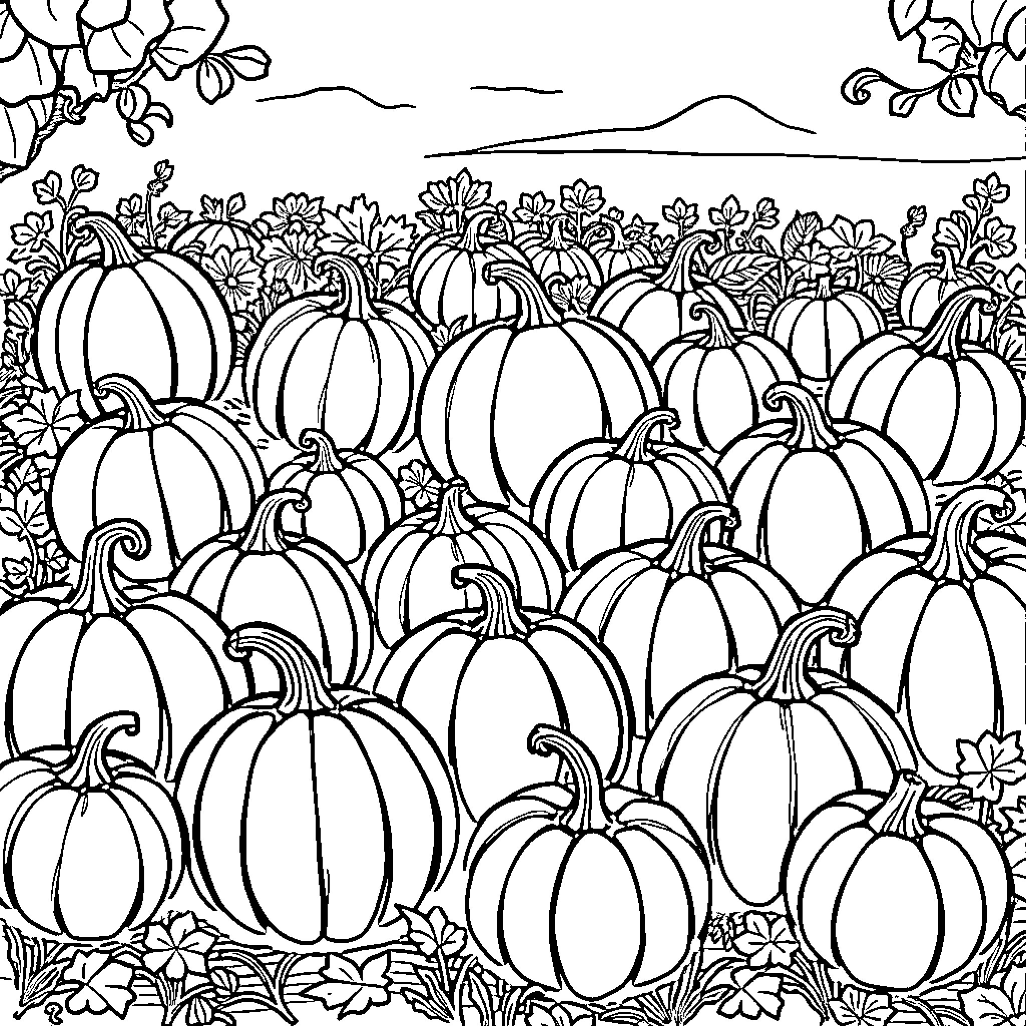 Pumpkins gathered in an autumnal field Coloring Page (free black-and-white line drawing printable PDF for all, from beginners to advanced learners, including children, teens, adults, and seniors)