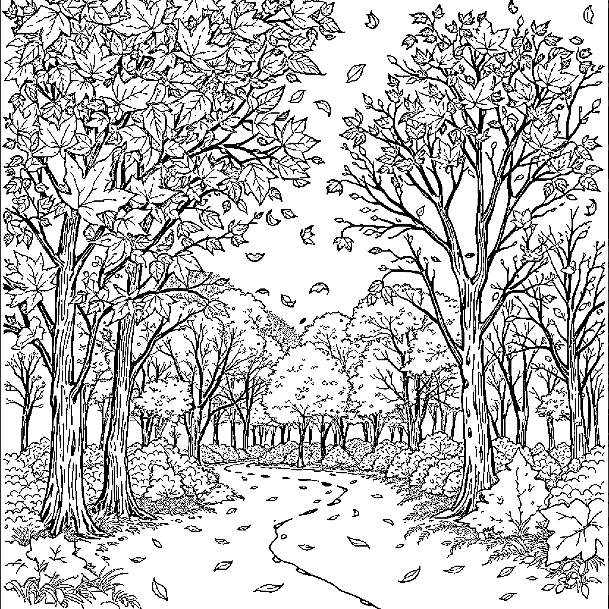 Autumn Forest Path with Falling Leaves Coloring Page (free black-and-white line drawing printable PDF for all, from beginners to advanced learners, including children, teens, adults, and seniors)