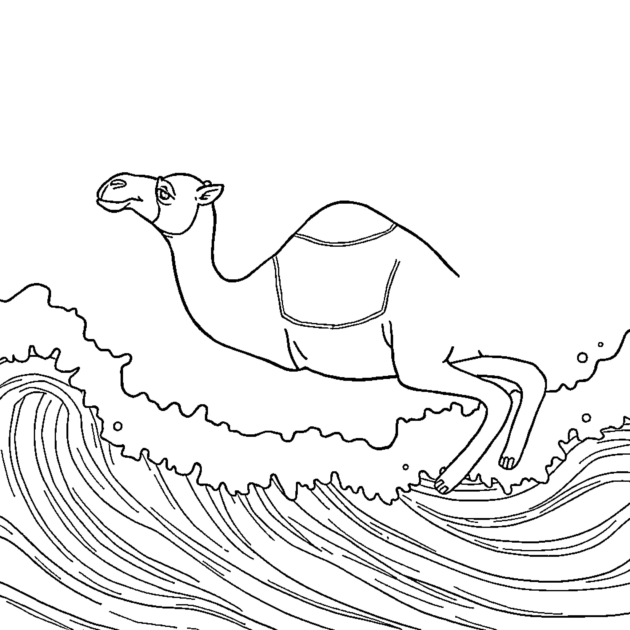 Camel riding the waves of the ocean Coloring Page (free black-and-white line drawing printable PDF for all, from beginners to advanced learners, including children, teens, adults, and seniors)