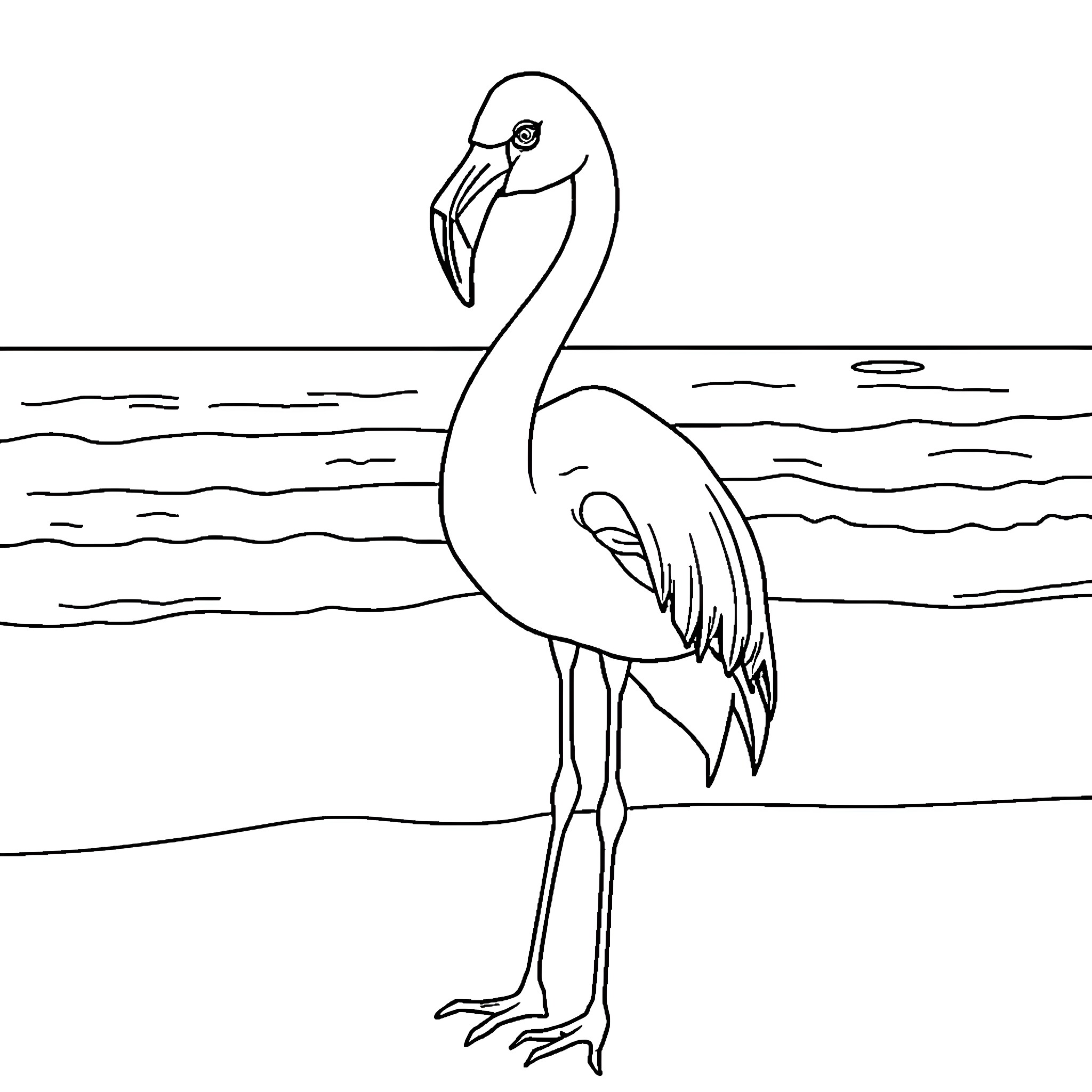 Flamingo standing gracefully by the water Coloring Page (free black-and-white line drawing printable PDF for all, from beginners to advanced learners, including children, teens, adults, and seniors)