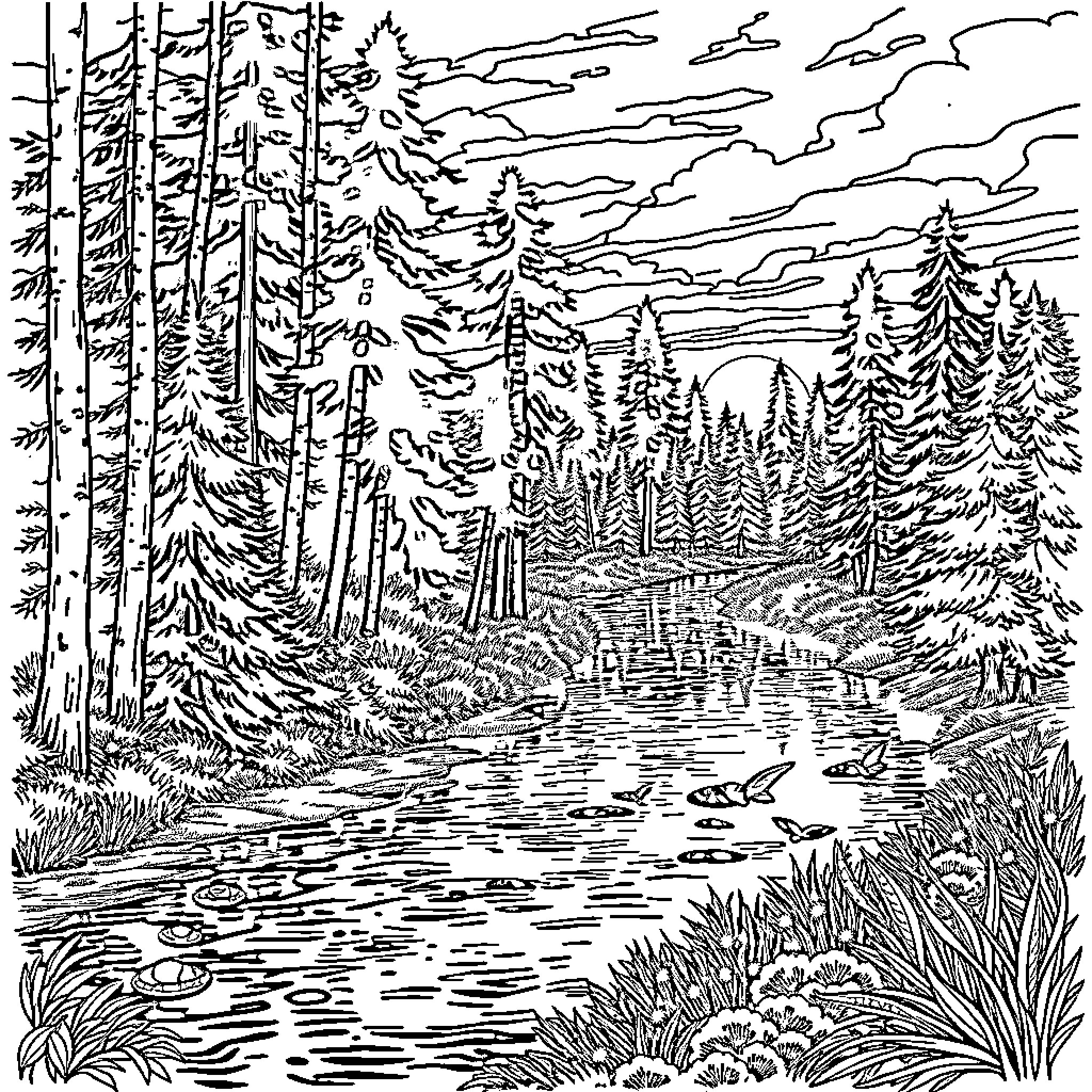 River flowing through the serene forest Coloring Page (free black-and-white line drawing printable PDF for all, from beginners to advanced learners, including children, teens, adults, and seniors)