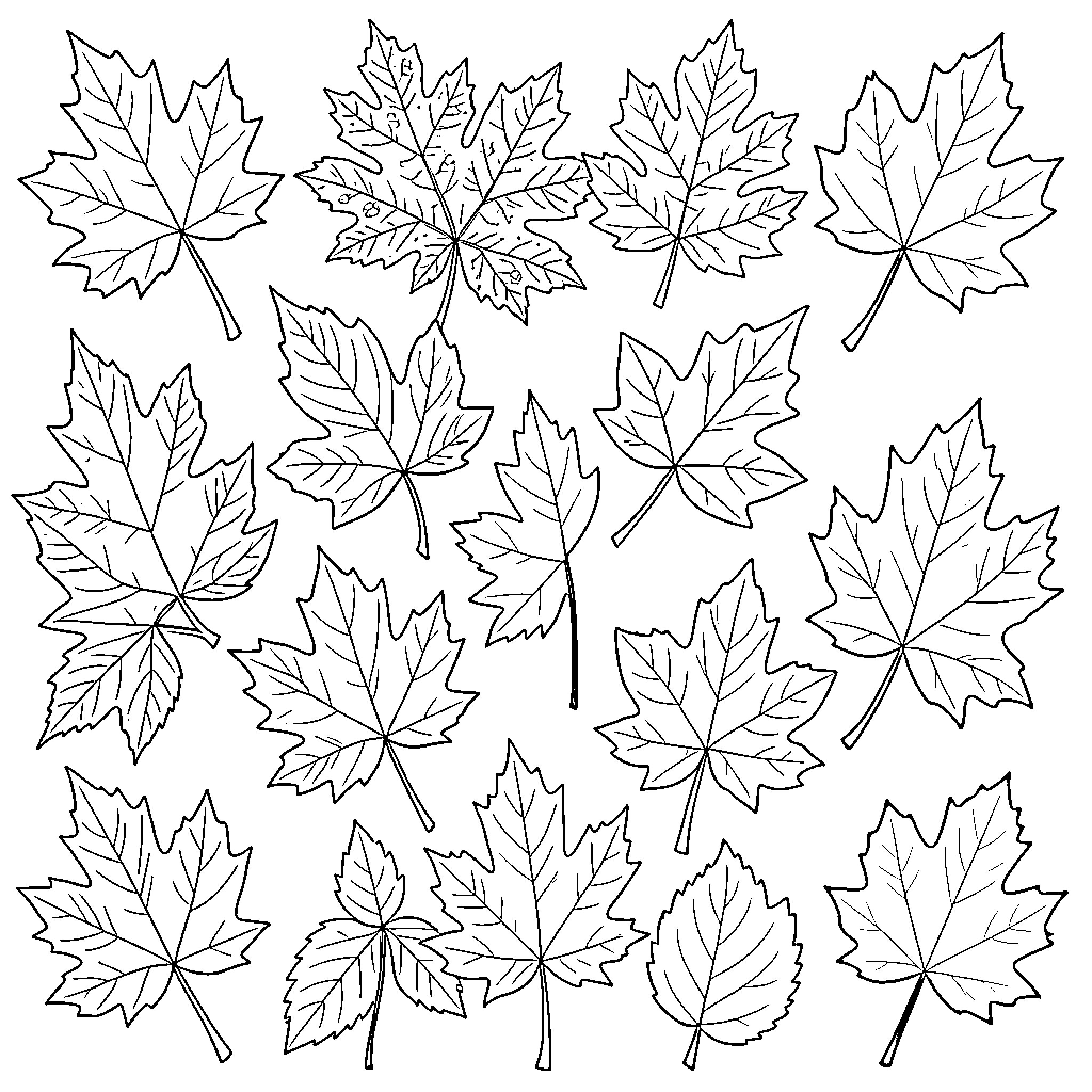 Tree leaves in various shapes and designs Coloring Page (free black-and-white line drawing printable PDF for all, from beginners to advanced learners, including children, teens, adults, and seniors)