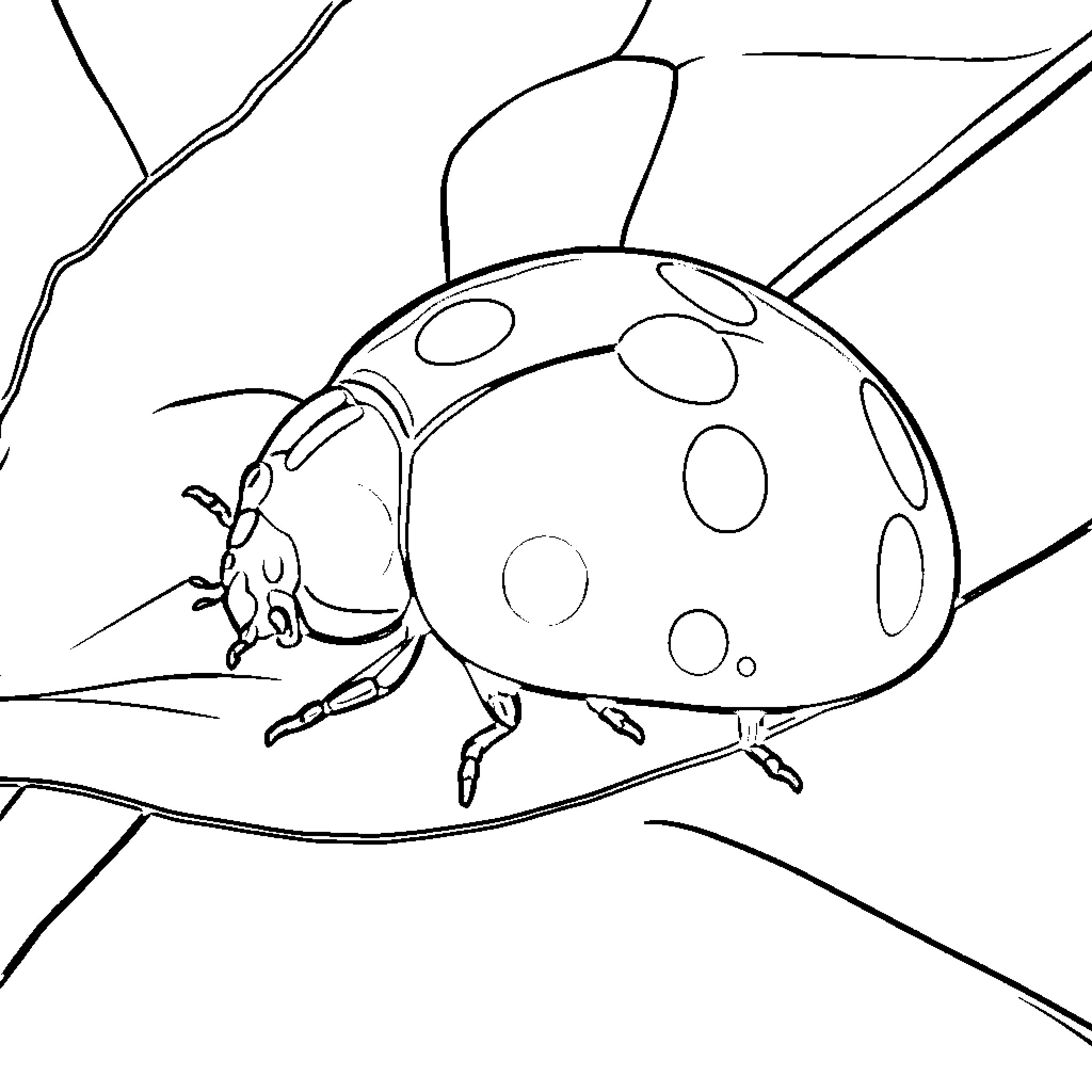 Ladybug climbing on a leaf Coloring Page (free black-and-white line drawing printable PDF for all, from beginners to advanced learners, including children, teens, adults, and seniors)