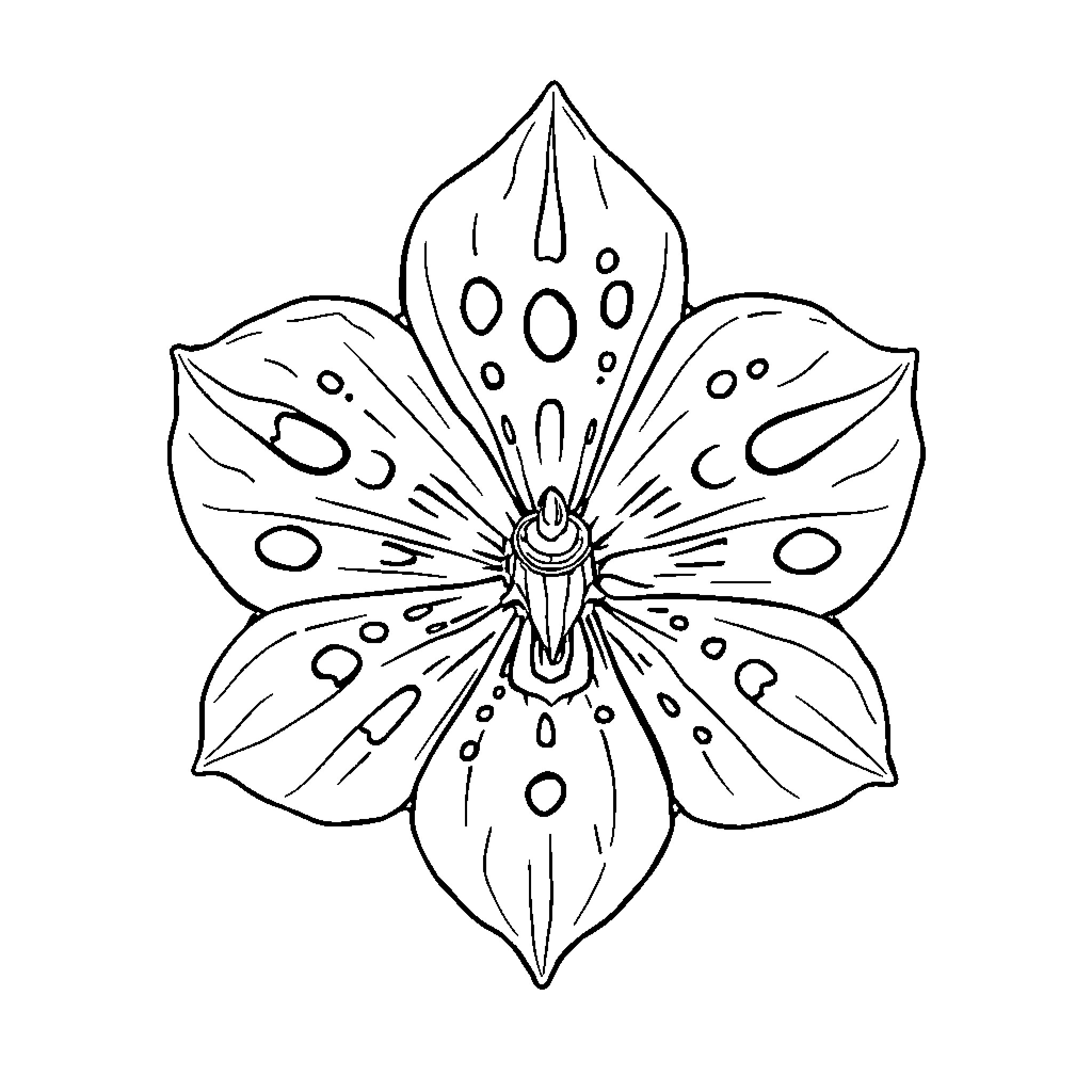 Rafflesia flower in artistic outline Coloring Page (free black-and-white line drawing printable PDF for all, from beginners to advanced learners, including children, teens, adults, and seniors)
