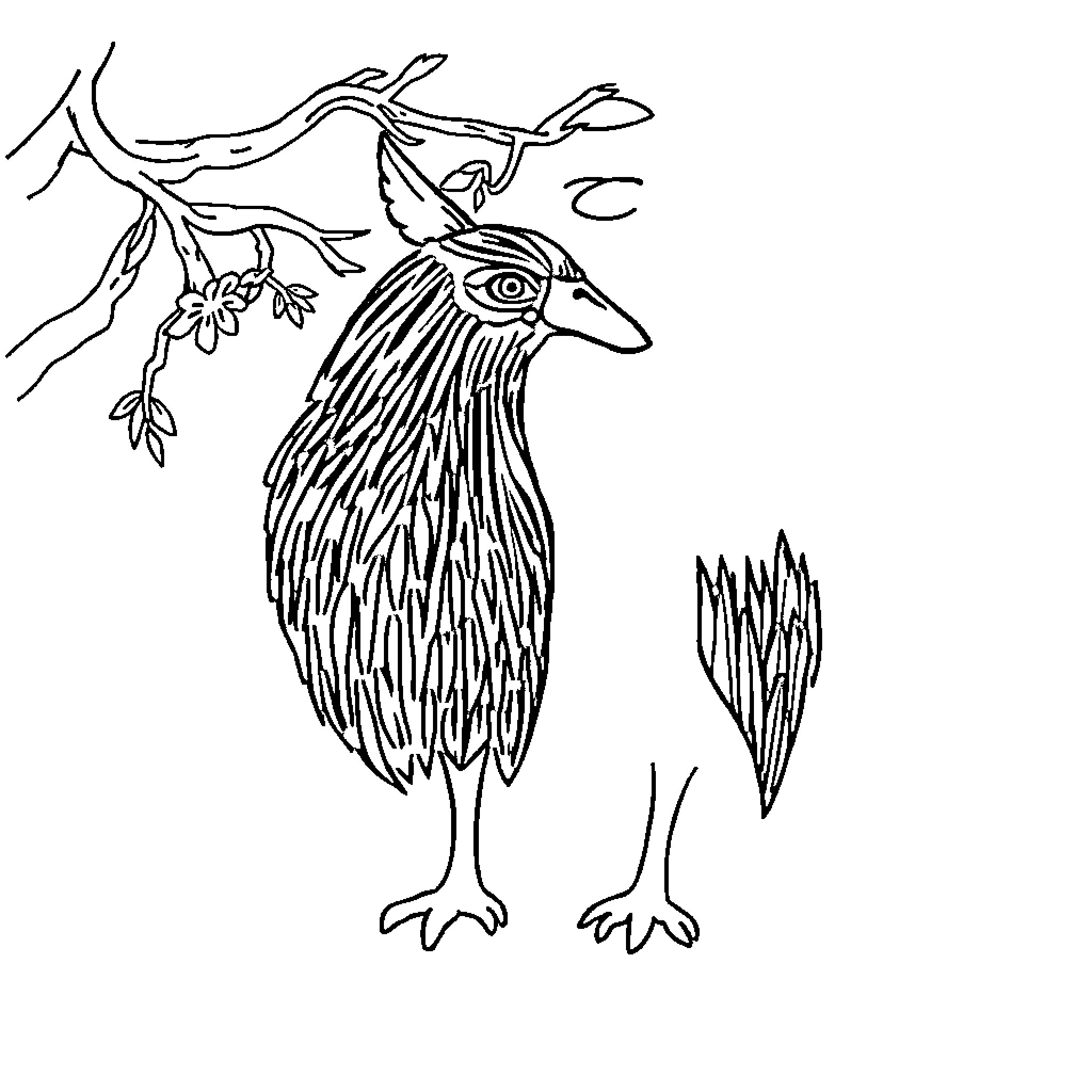 Thermal Floors: Quirky Bird Perched on Branch Coloring Page (free black-and-white line drawing printable PDF for all, from beginners to advanced learners, including children, teens, adults, and seniors)