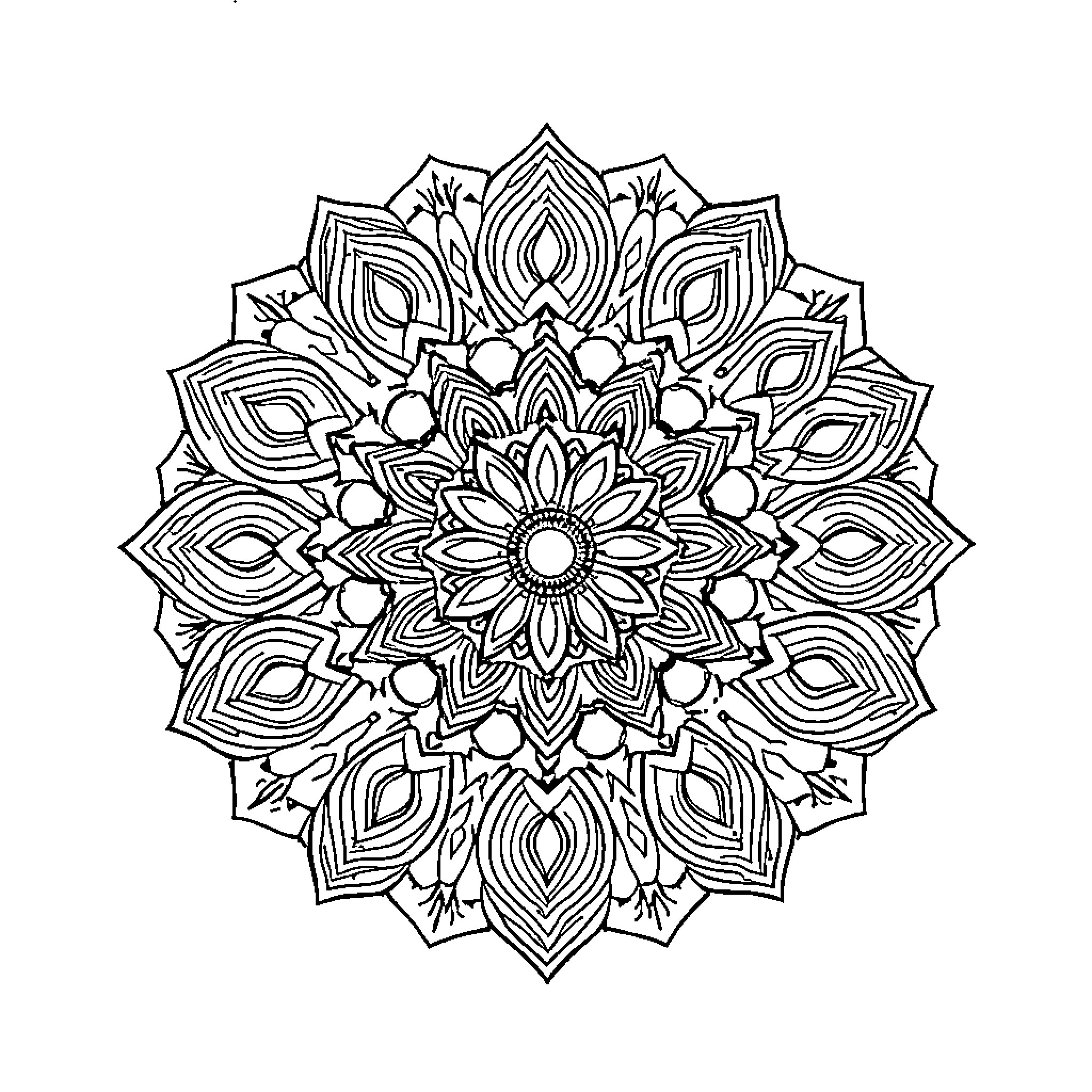 Mandala with Intricate Symmetrical Patterns Coloring Page (free black-and-white line drawing printable PDF for all, from beginners to advanced learners, including children, teens, adults, and seniors)