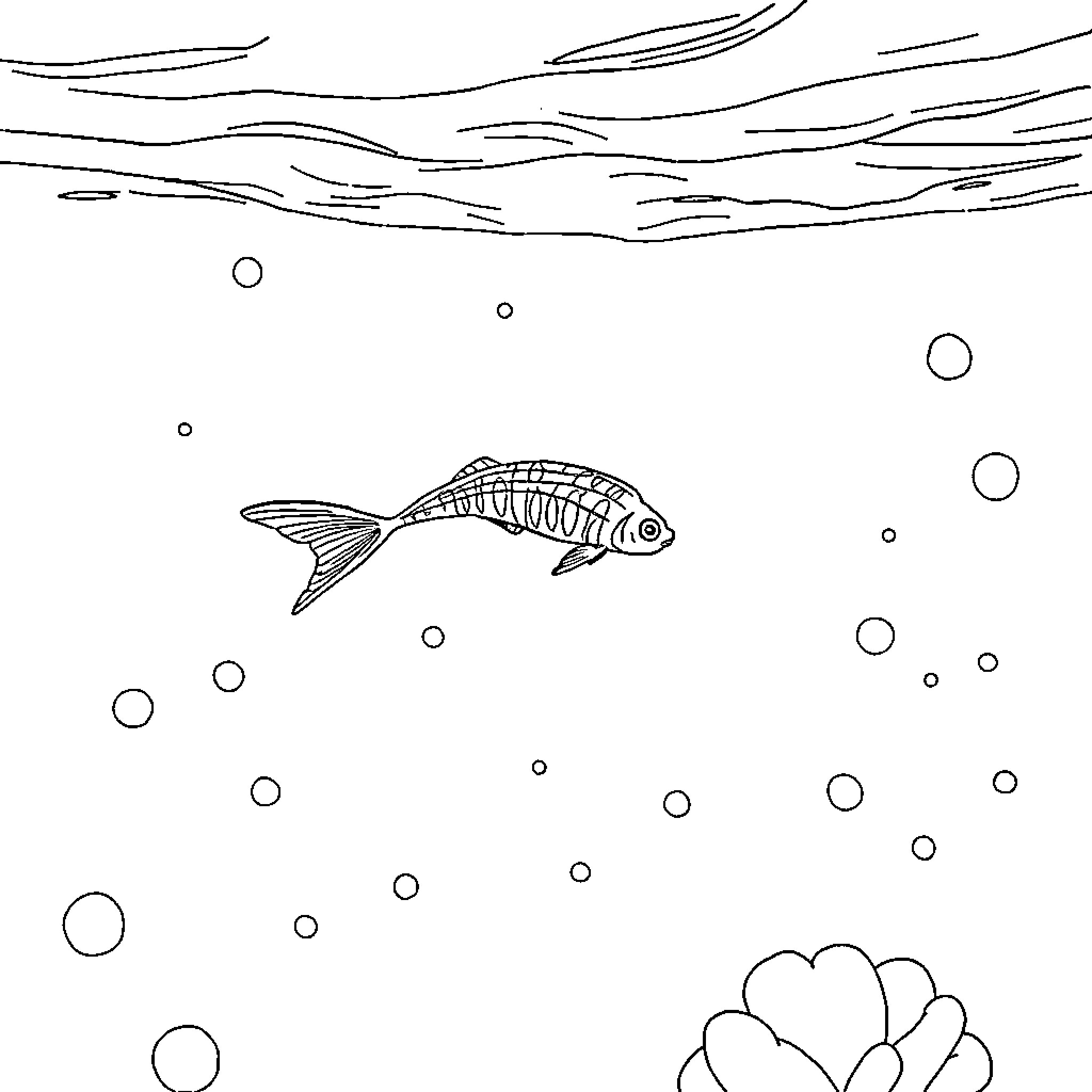 Phytoplankton swimming in the underwater scene Coloring Page (free black-and-white line drawing printable PDF for all, from beginners to advanced learners, including children, teens, adults, and seniors)