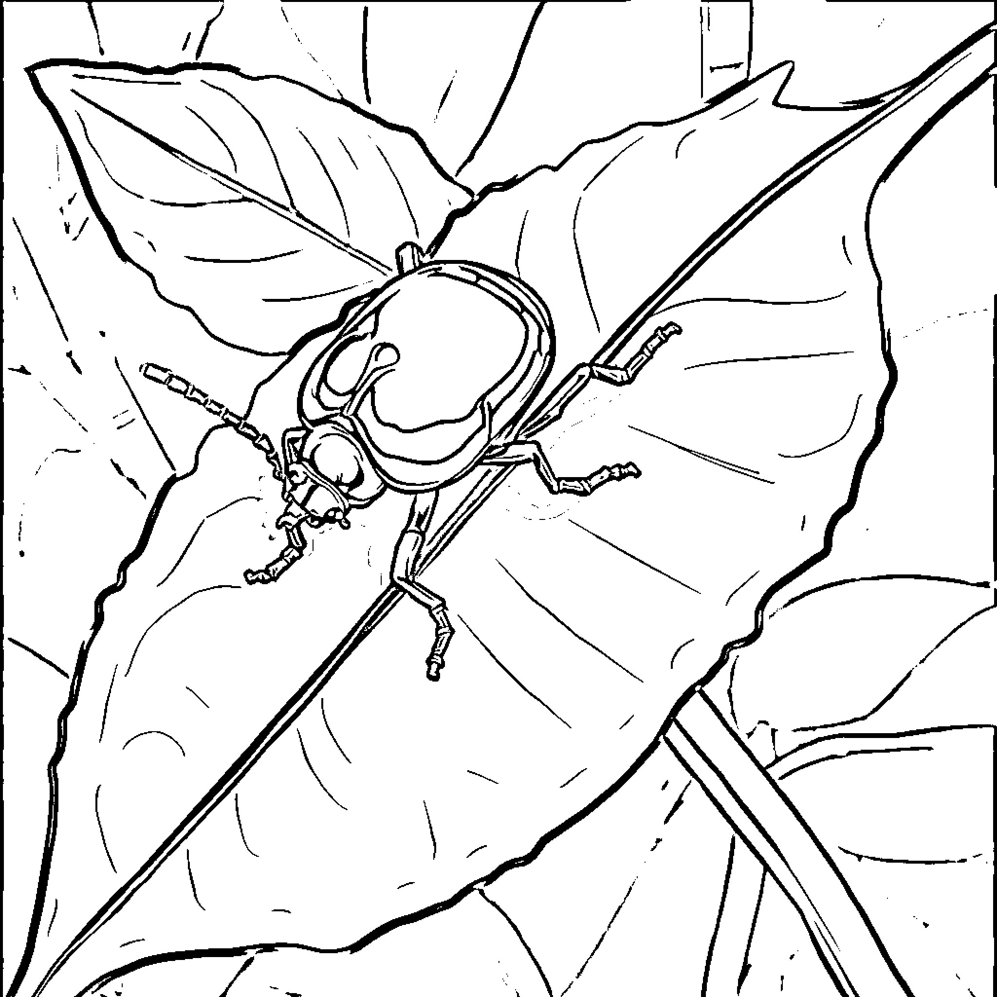 Beetle crawling on leaf Coloring Page (free black-and-white line drawing printable PDF for all, from beginners to advanced learners, including children, teens, adults, and seniors)